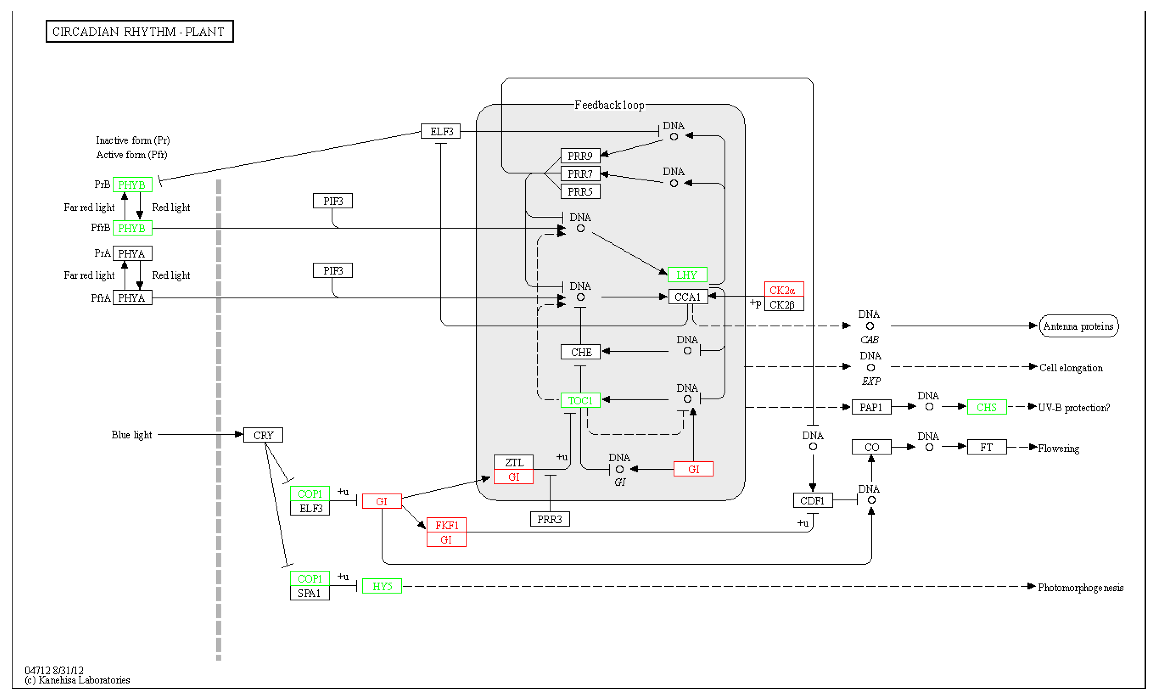 Forests 11 00091 g010