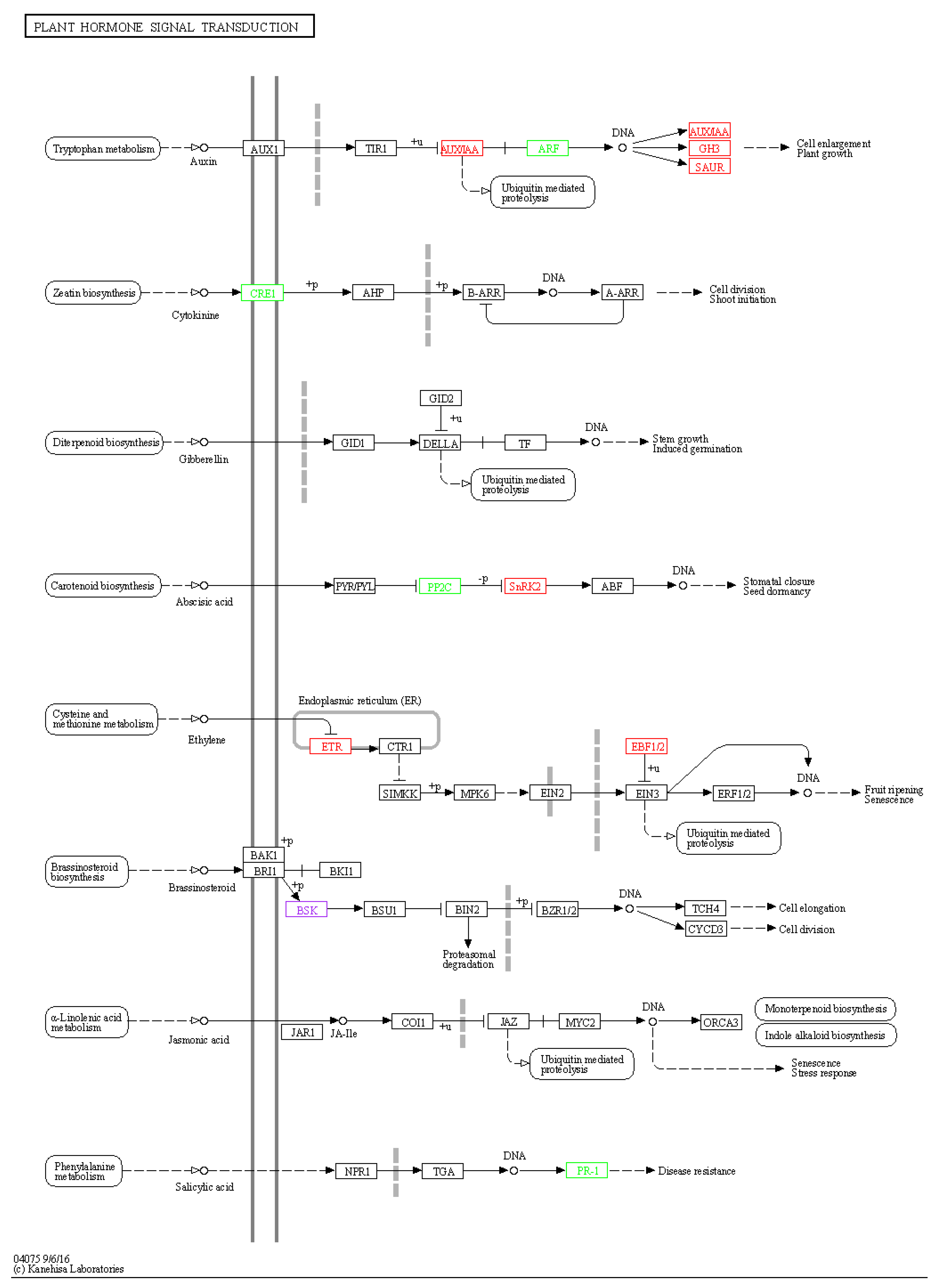 Forests 11 00091 g011