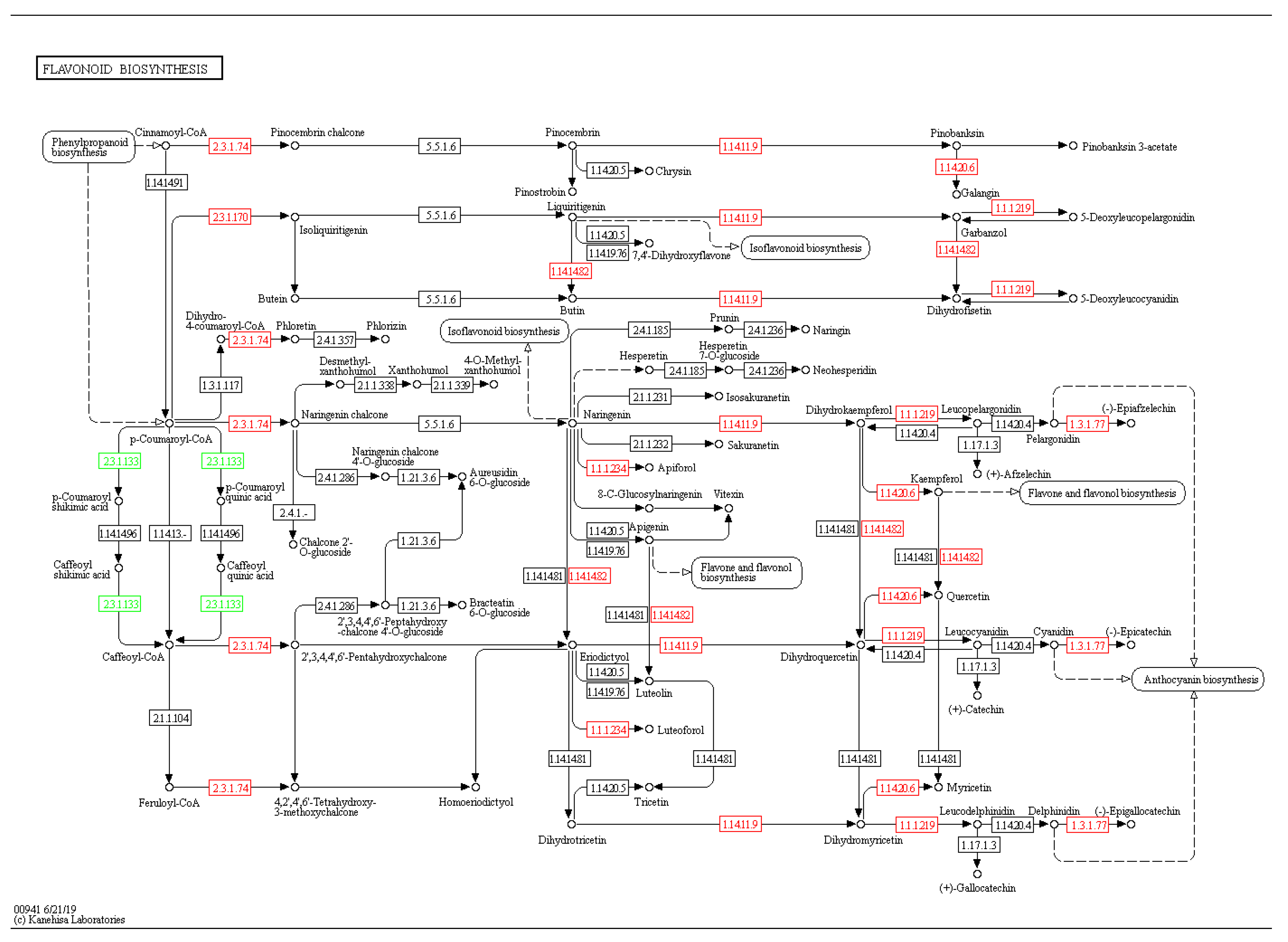 Forests 11 00091 g012