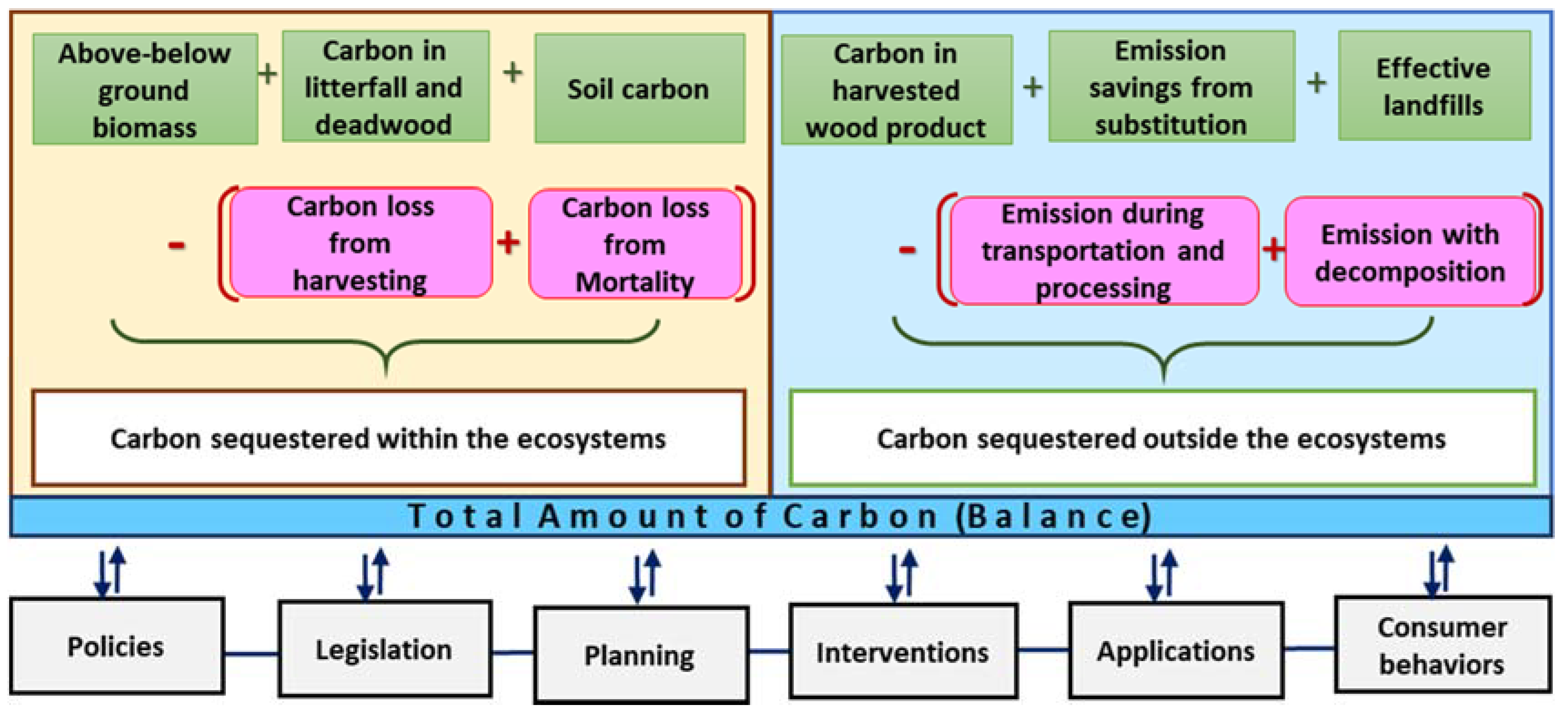 Forests 11 00102 g002