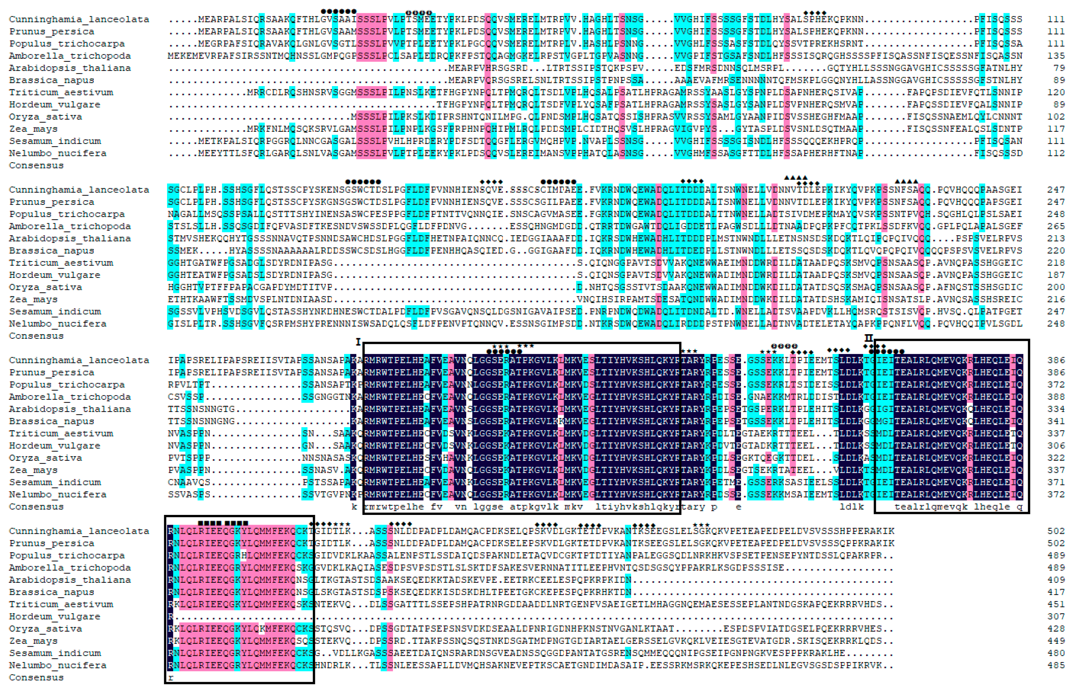 Forests 11 00104 g001