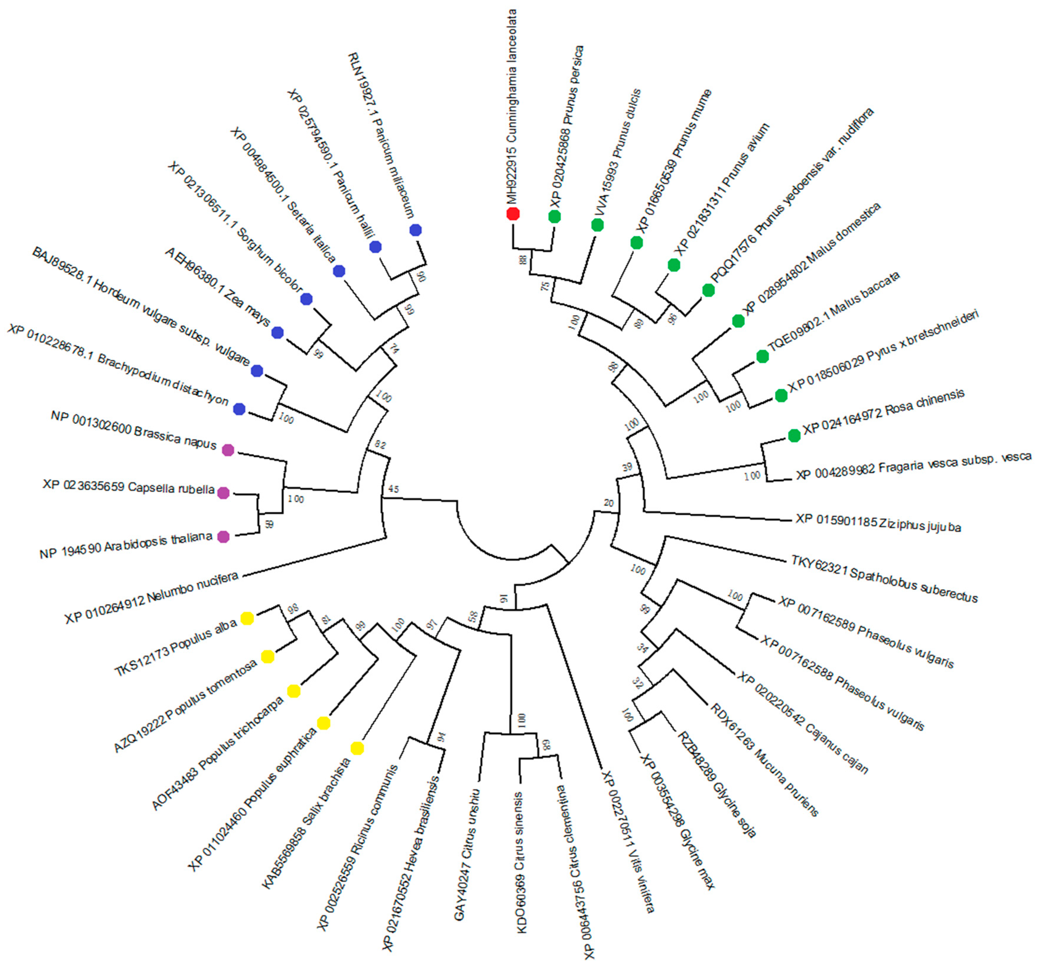 Forests 11 00104 g003