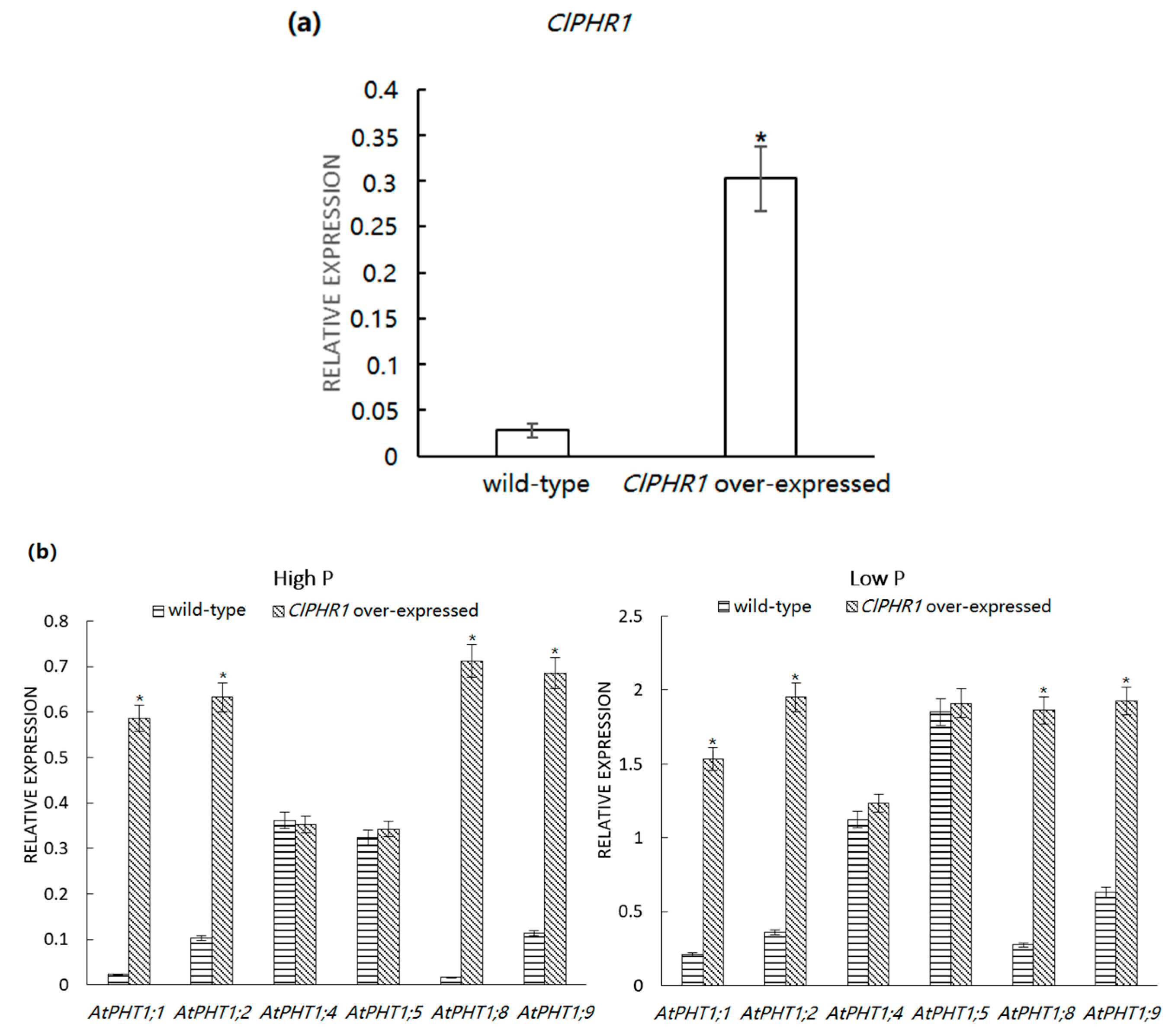 Forests 11 00104 g006