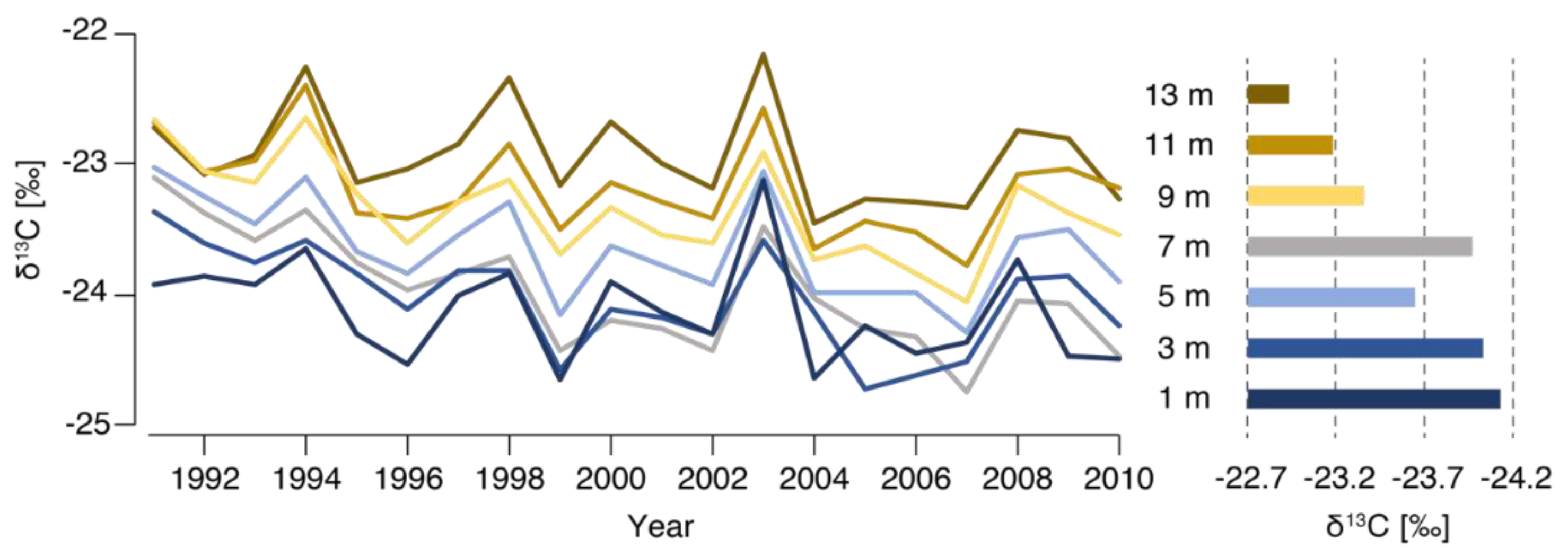 Forests 11 00117 g005
