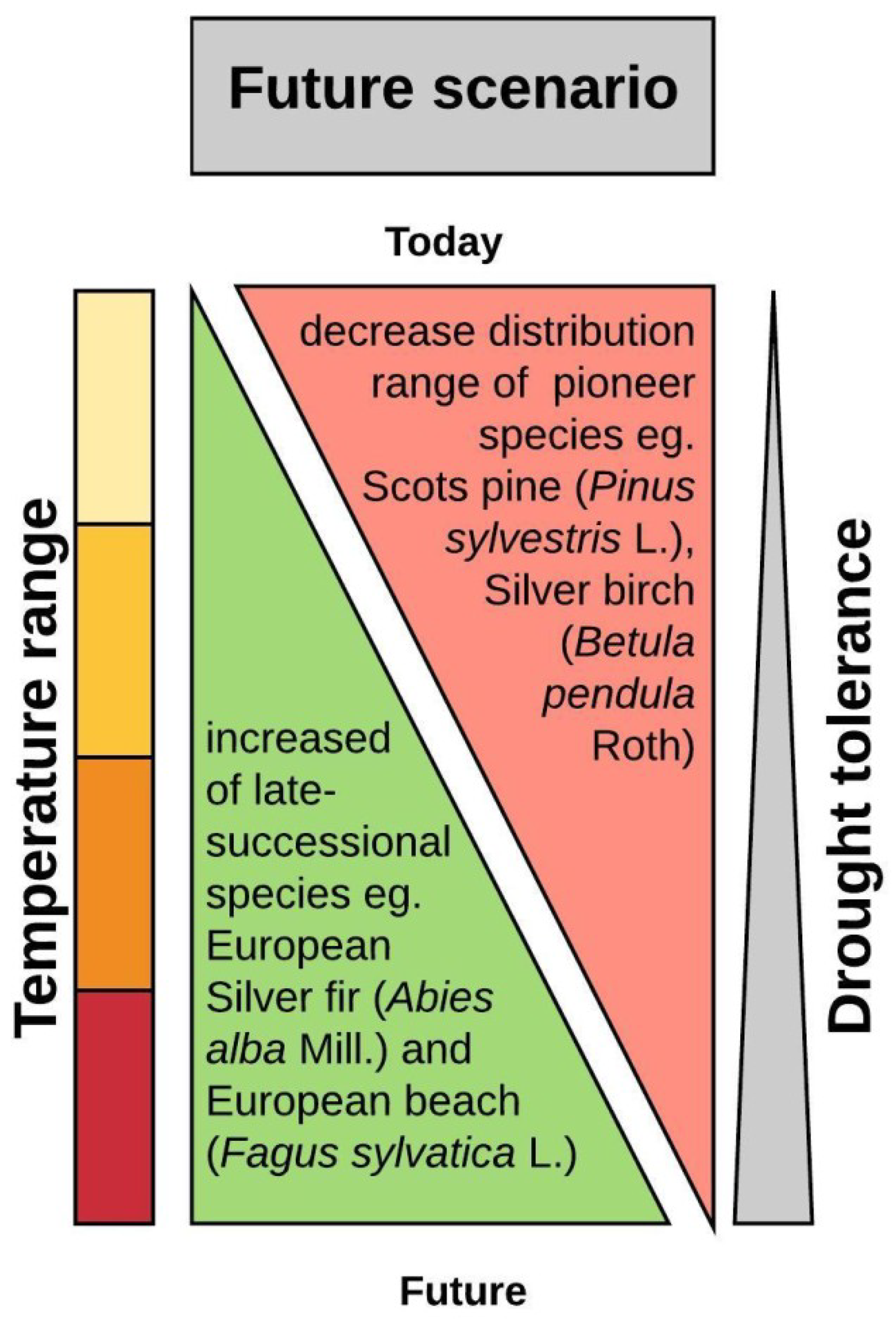 Forests 11 00123 g002