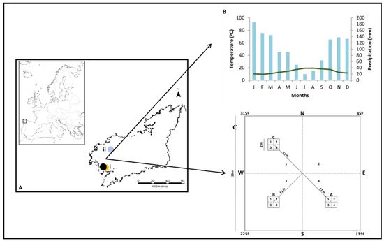 Forests Free Full Text Fire Severity Drives The Natural Regeneration Of Cytisus Scoparius L Link And Salix Atrocinerea Brot Communities And The Germinative Behaviour Of These Species Html