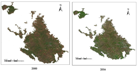 https://www.mdpi.com/forests/forests-11-00130/article_deploy/html/images/forests-11-00130-g004-550.jpg