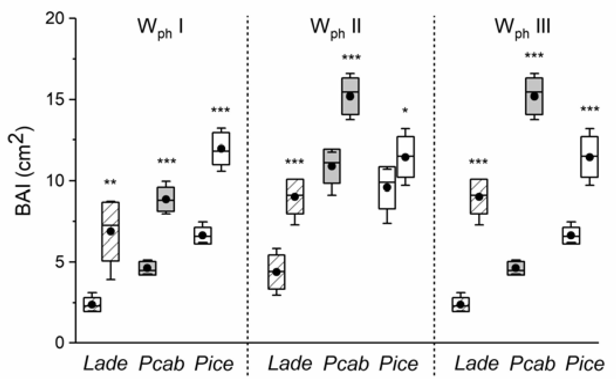 Forests 11 00132 g004 Forests 11 00132 g004