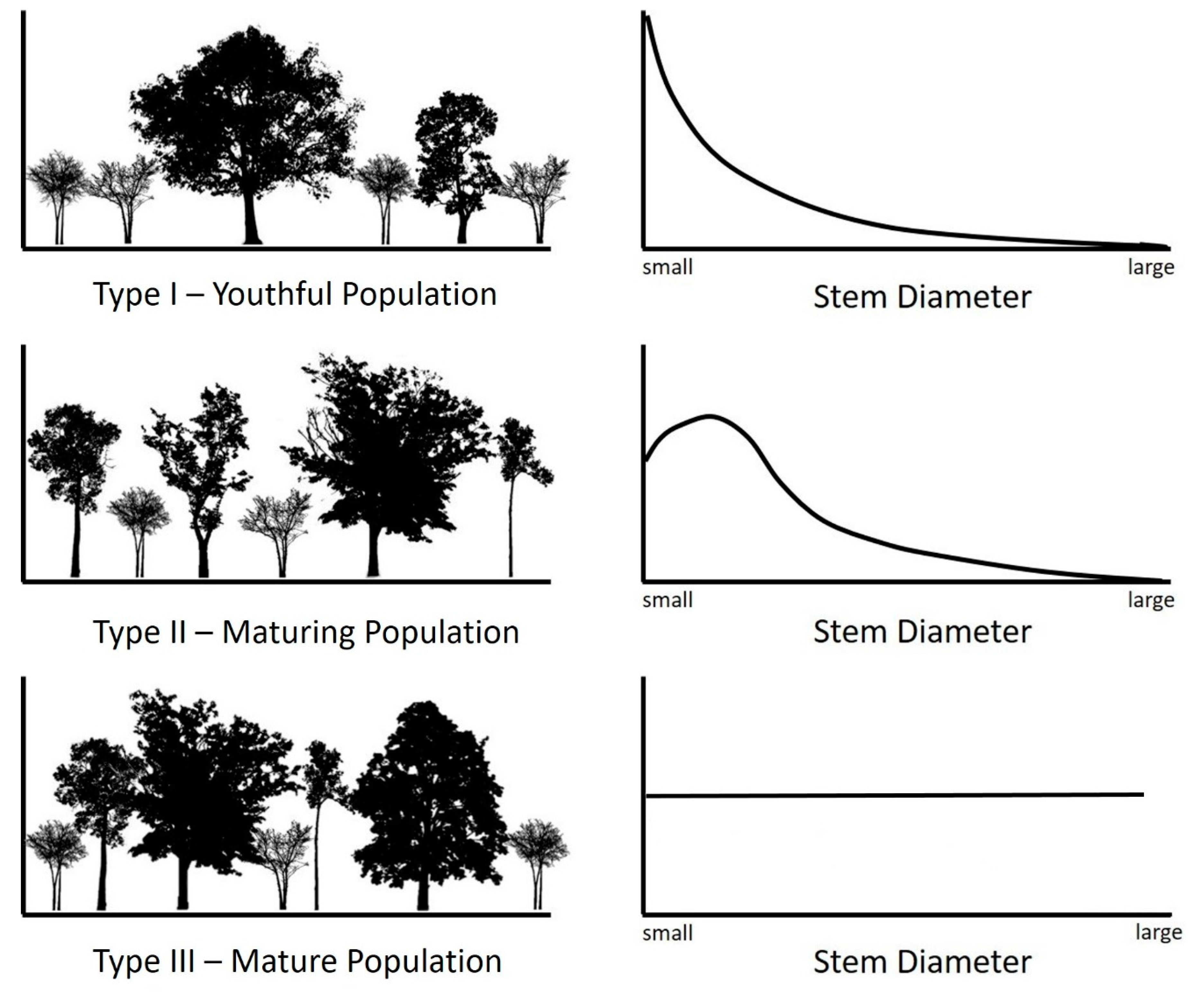 Forests 11 00135 g001 Forests 11 00135 g001