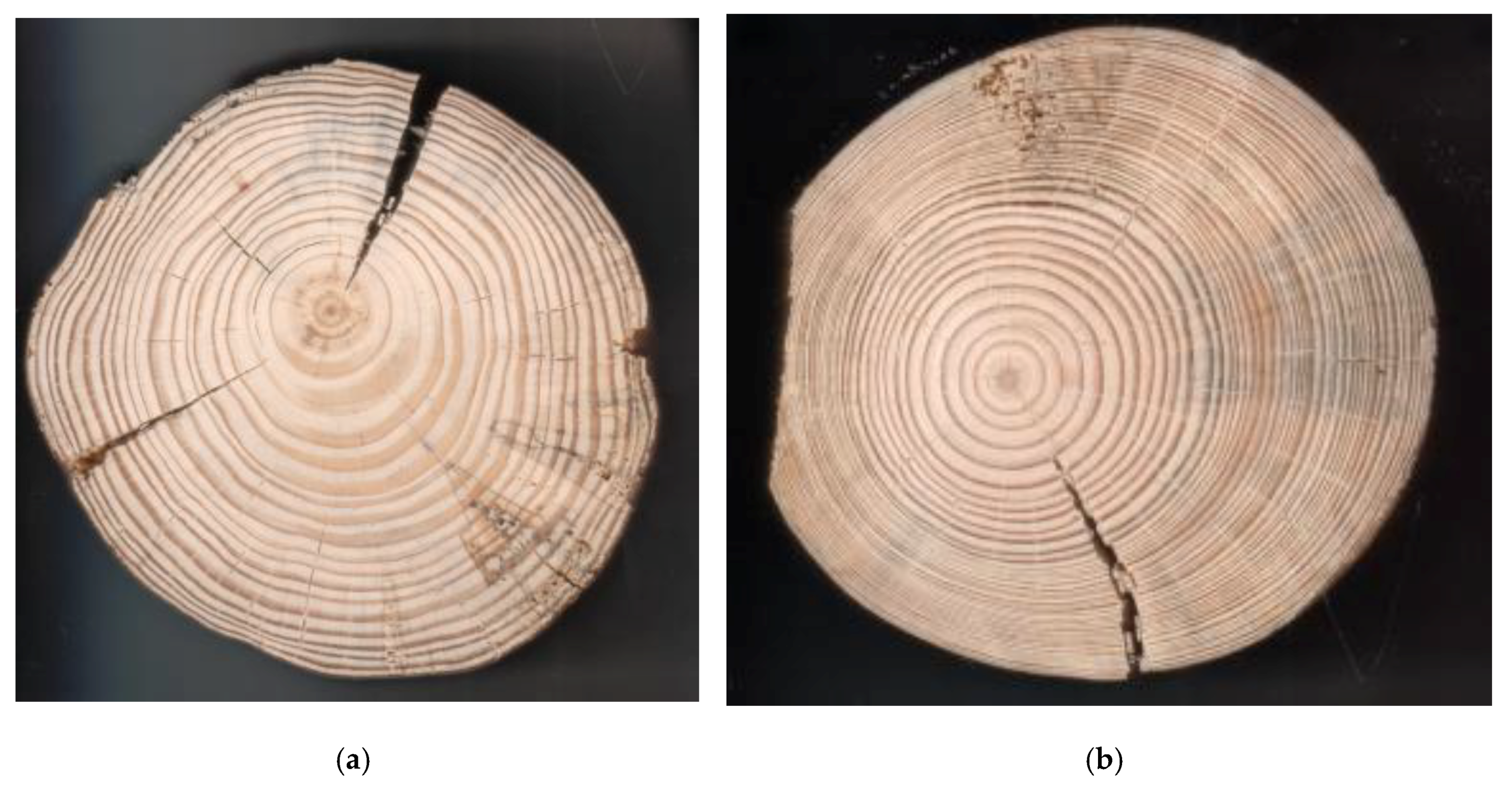 Forests 11 00138 g002 Forests 11 00138 g002