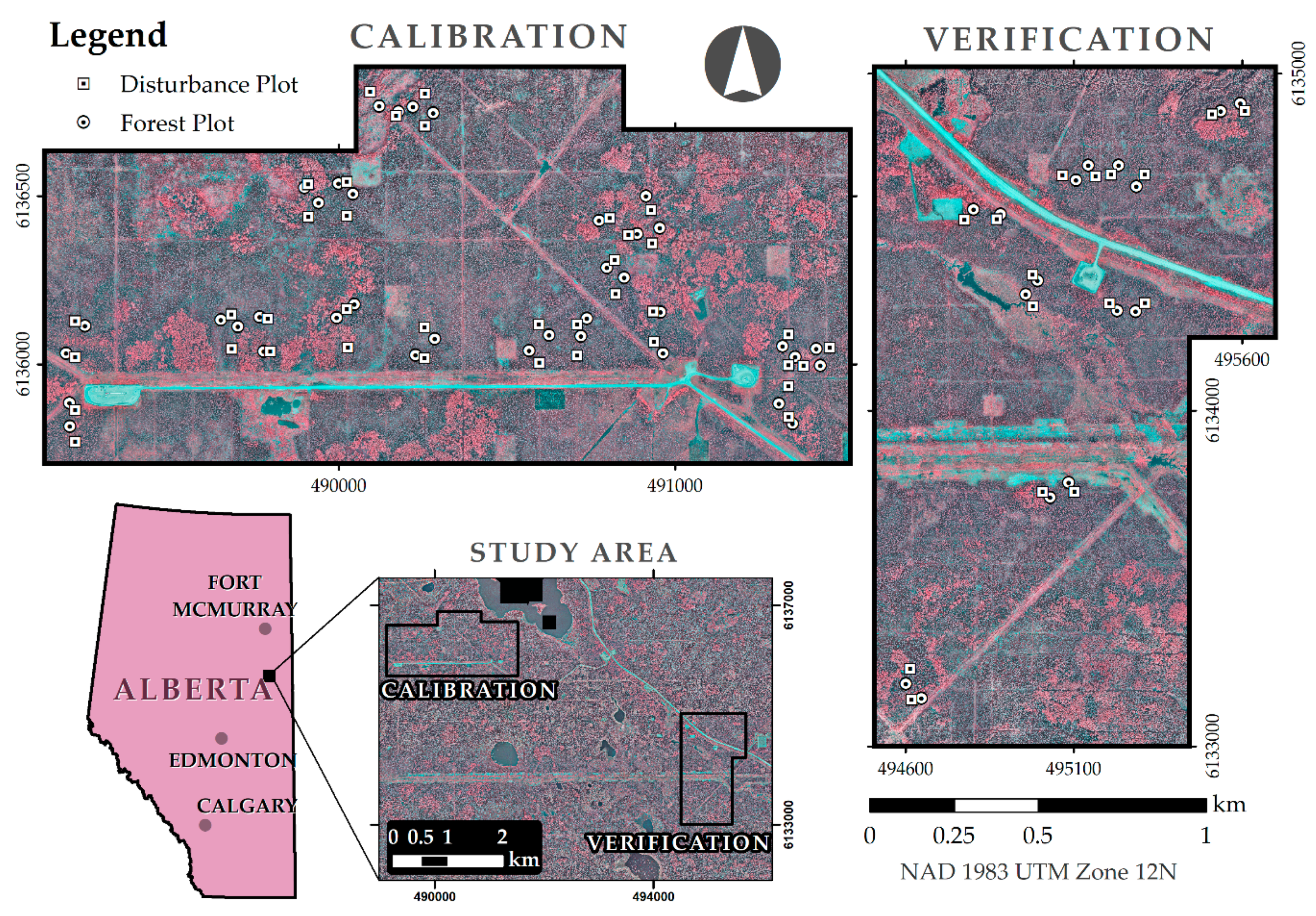 Forests 11 00141 g002
