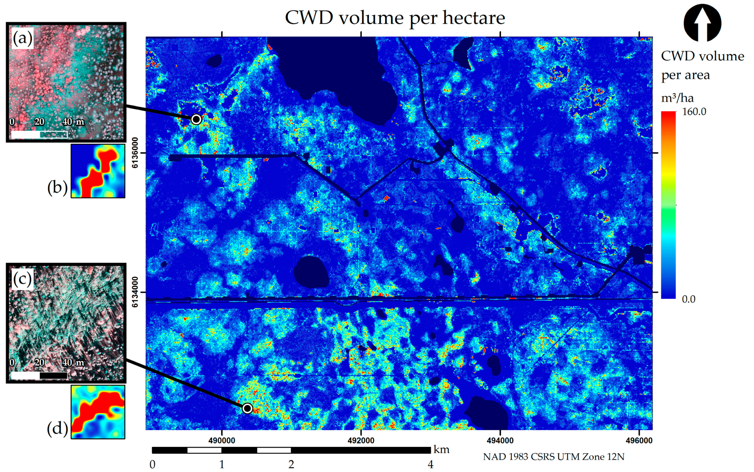 Forests 11 00141 g004