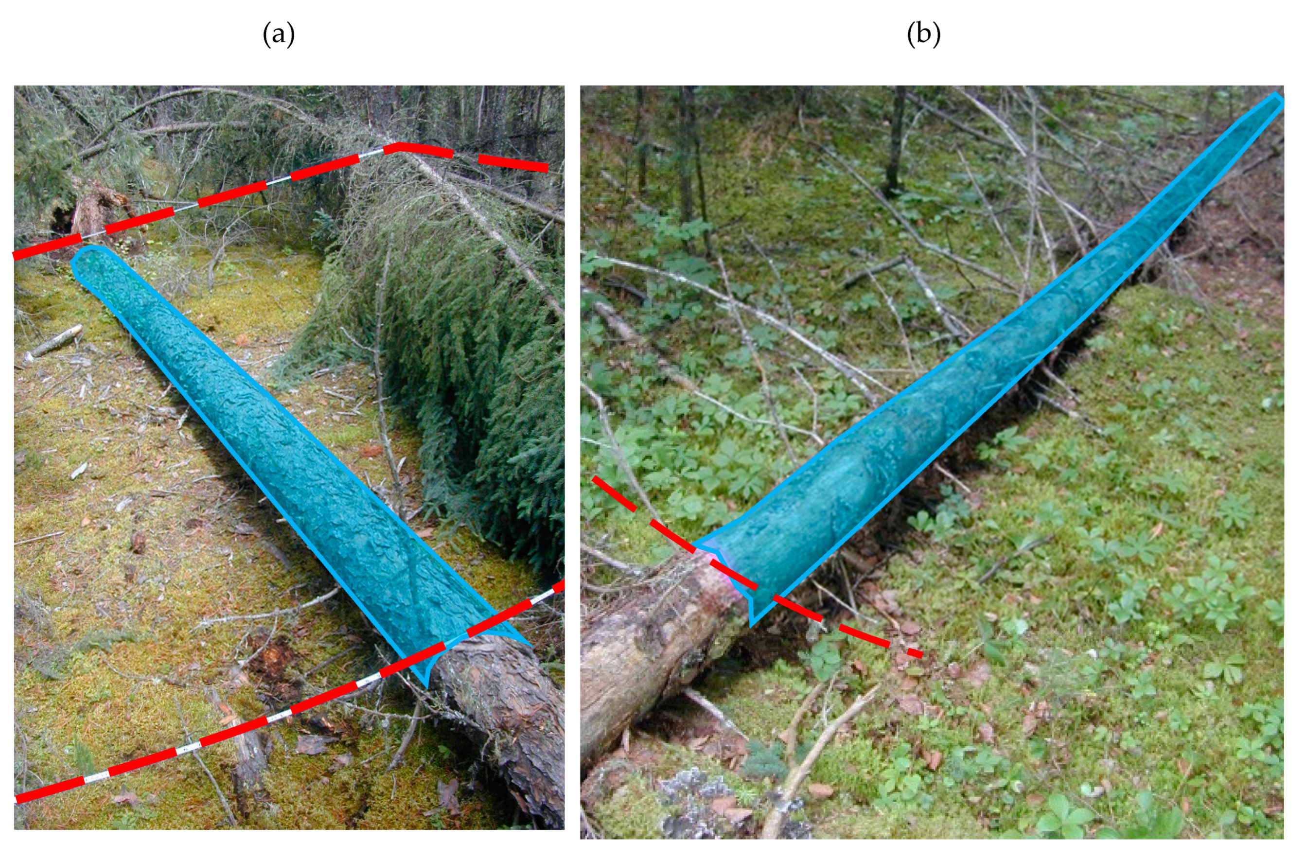 Forests 11 00141 g0a4