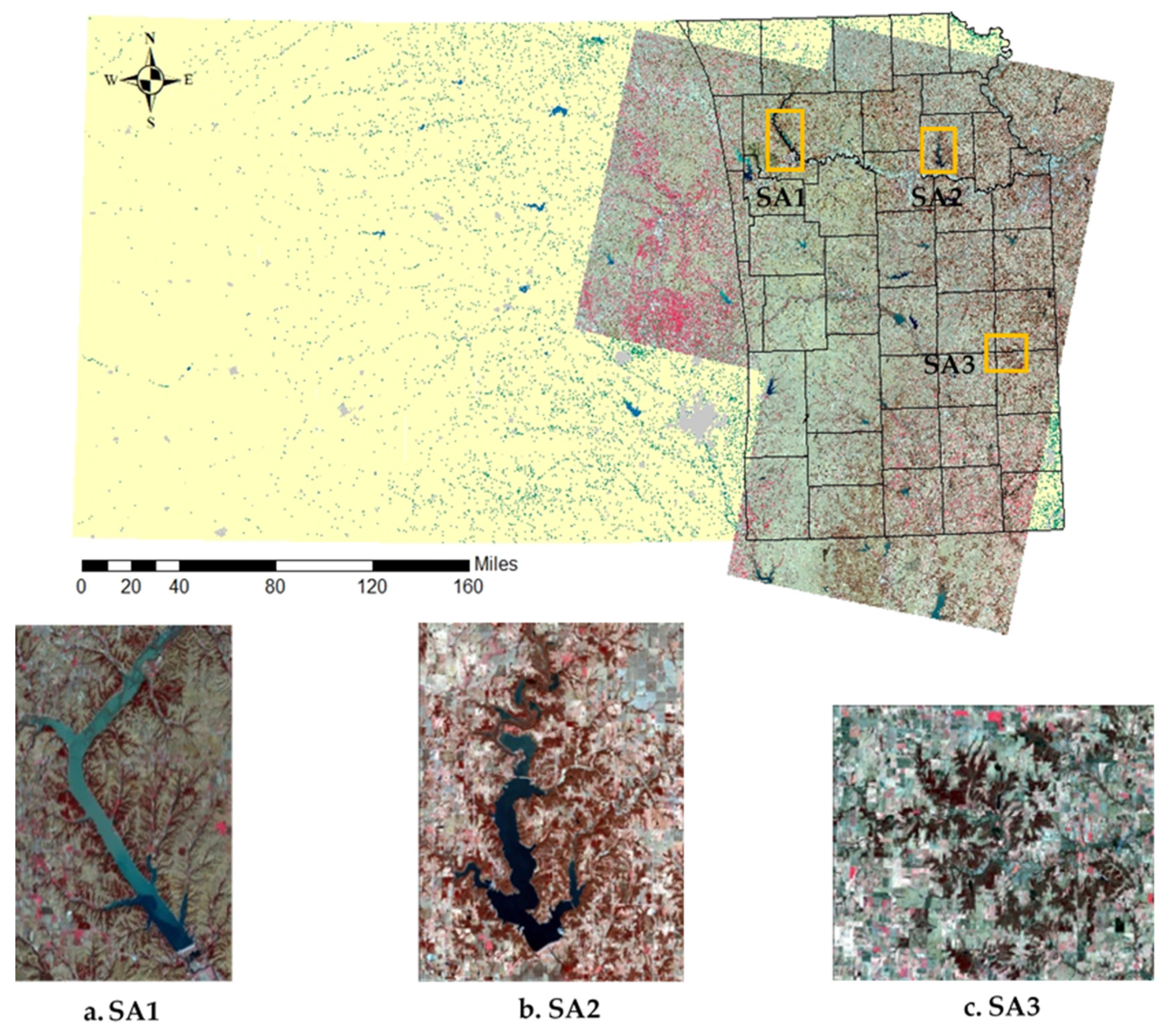 Forests 11 00154 g001 Forests 11 00154 g001