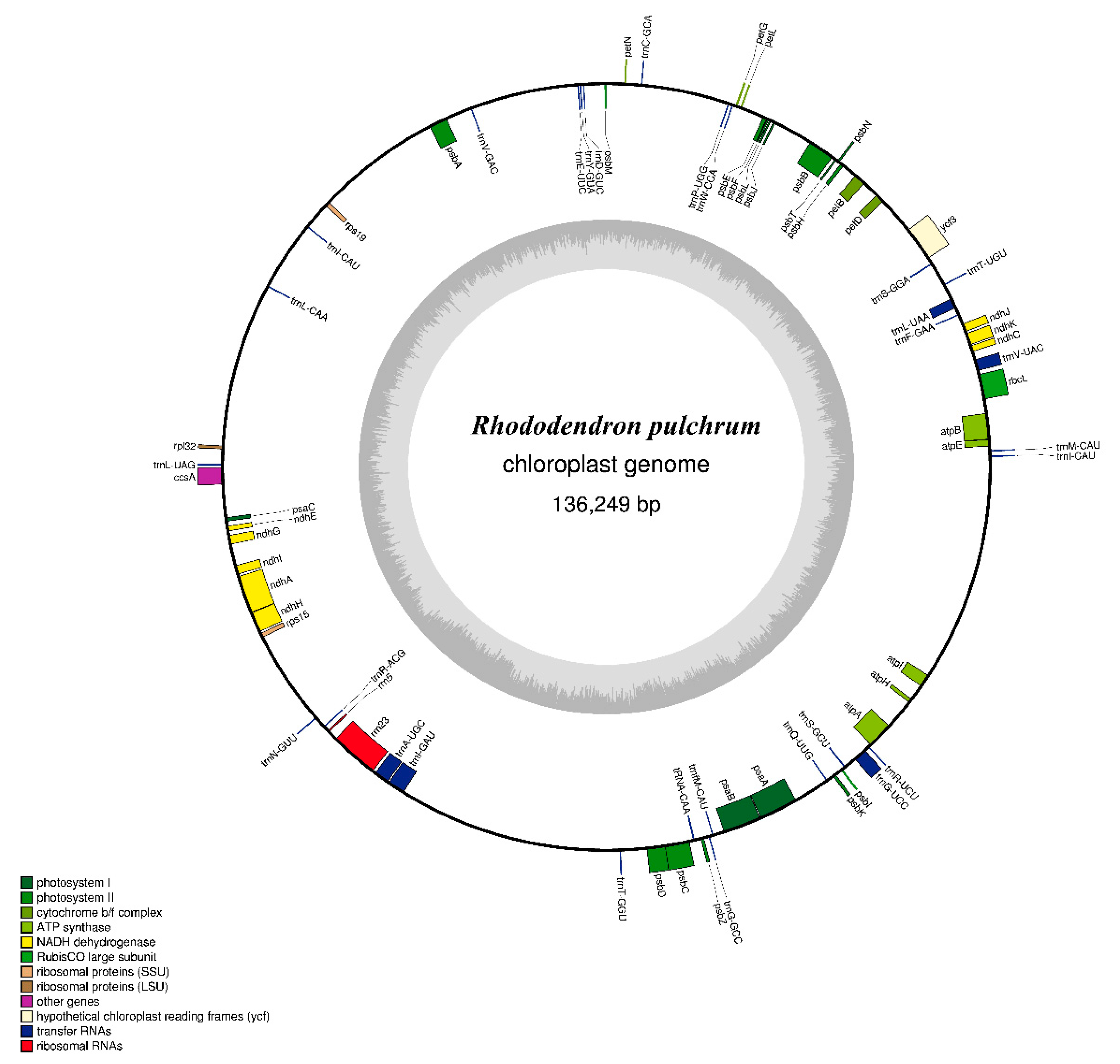 Forests 11 00158 g001 Forests 11 00158 g001