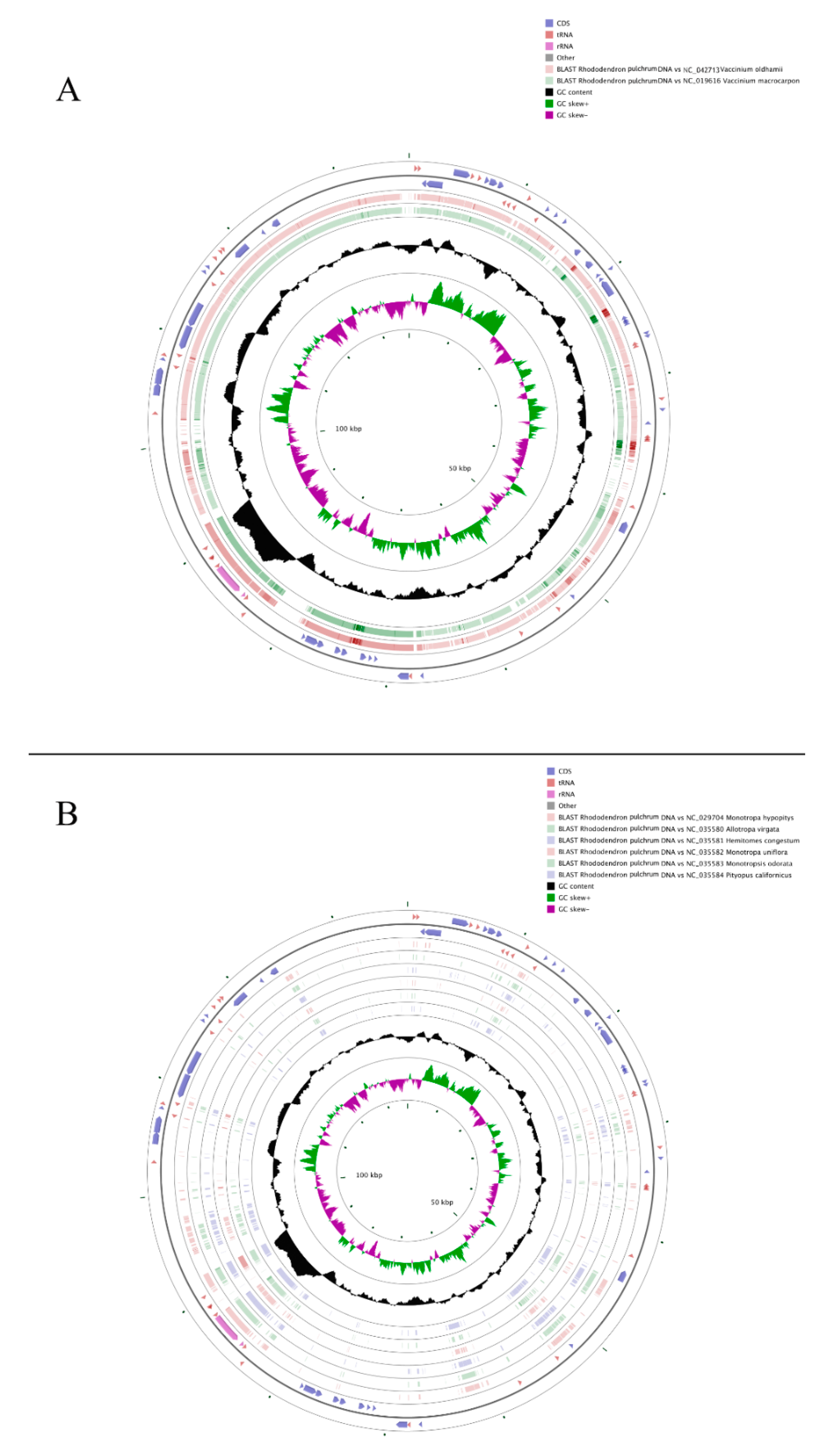 Forests 11 00158 g005 Forests 11 00158 g005