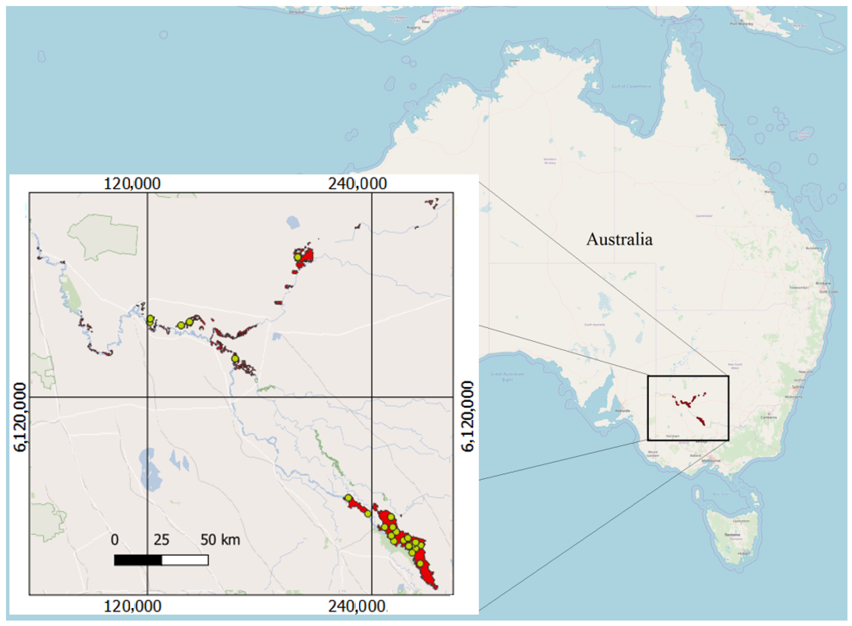 Forests 11 00161 g001