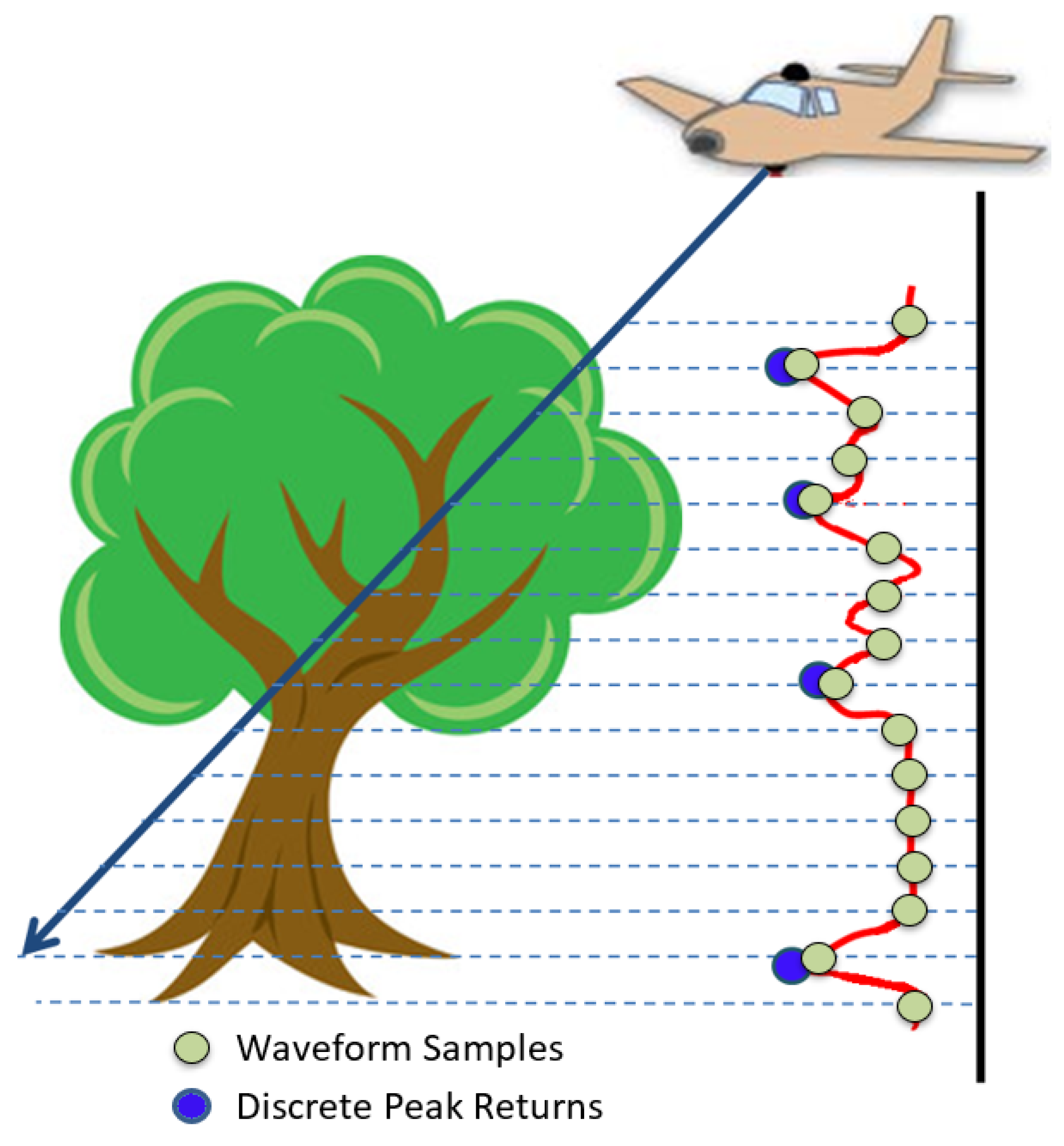 Forests 11 00161 g004