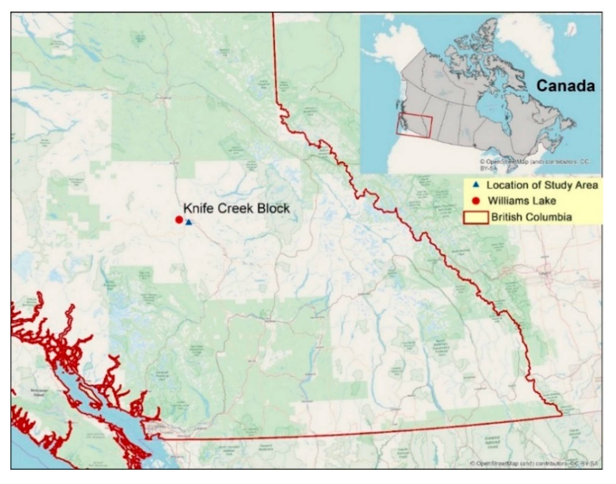 Forests 11 00167 g001 Forests 11 00167 g001