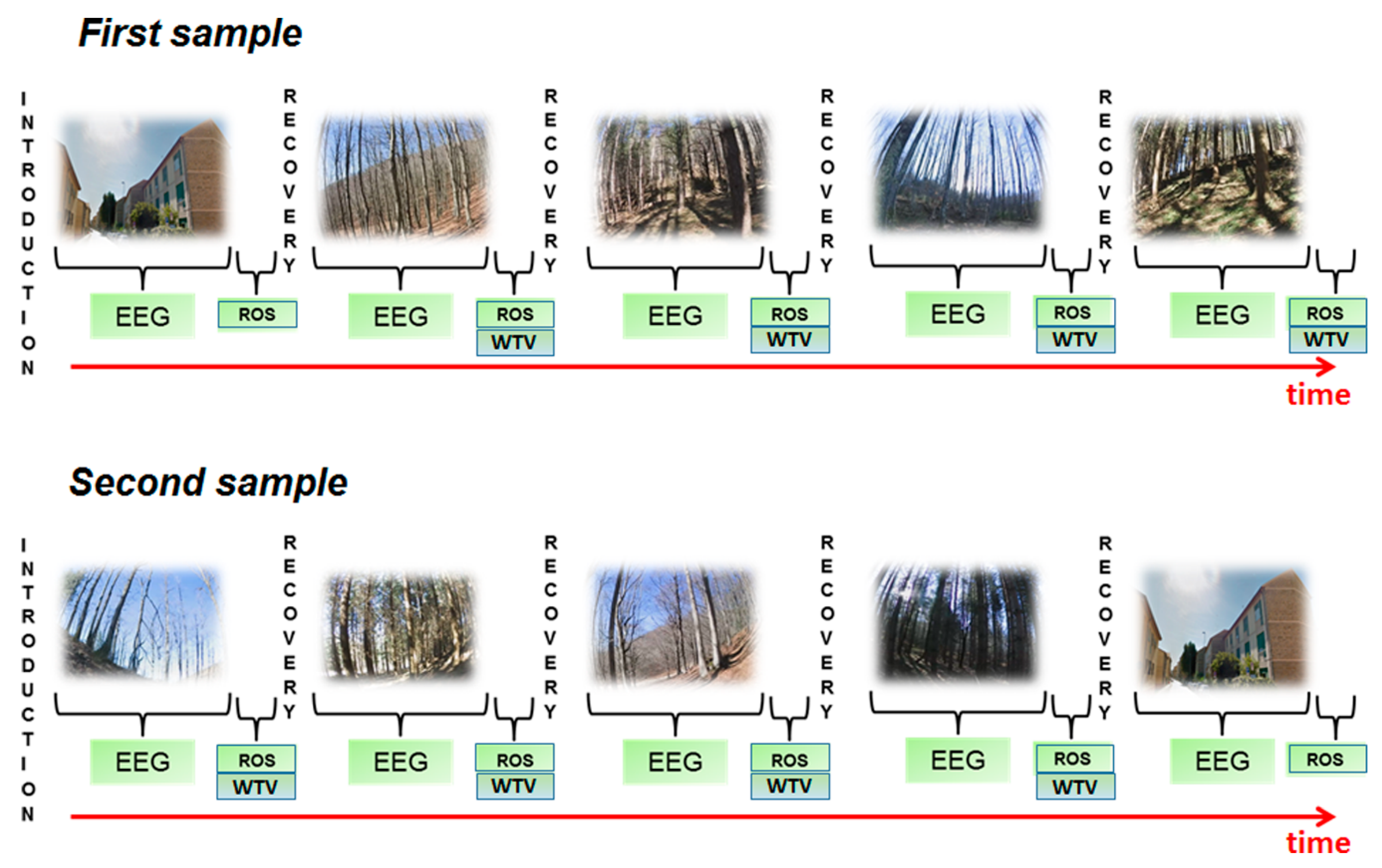 Forests 11 00190 g002