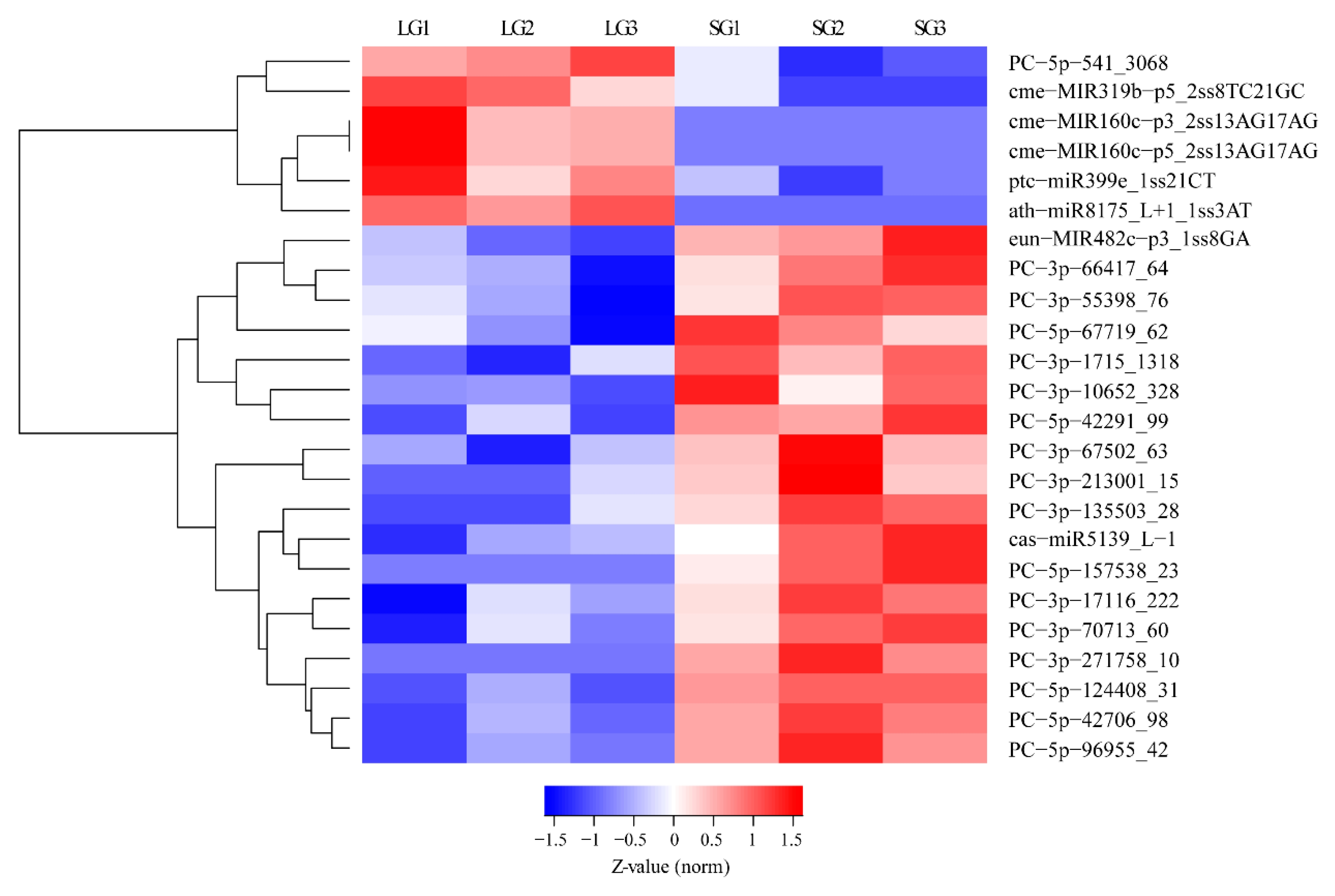 Forests 11 00196 g002 Forests 11 00196 g002