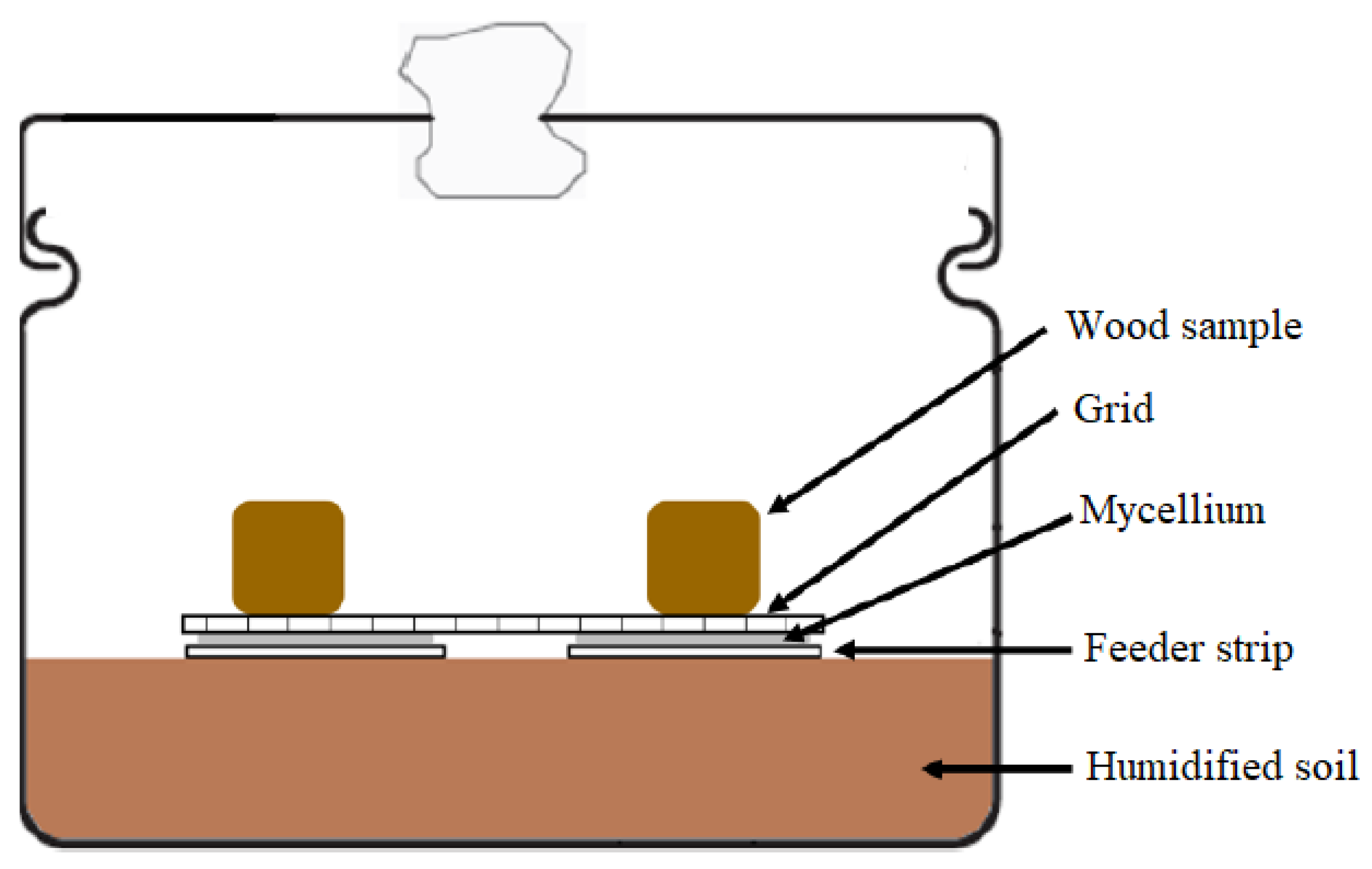 Forests 11 00201 g001 Forests 11 00201 g001