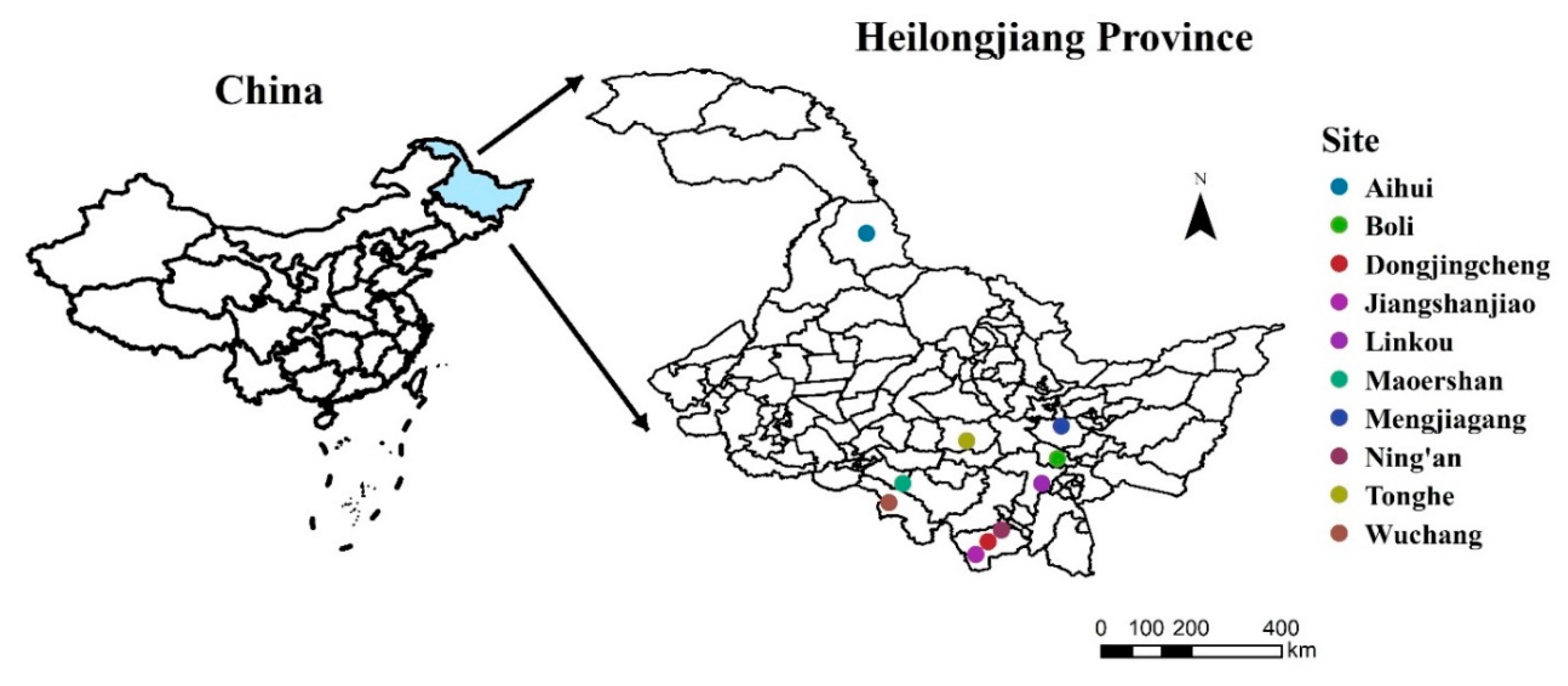 Forests 11 00202 g001 Forests 11 00202 g001