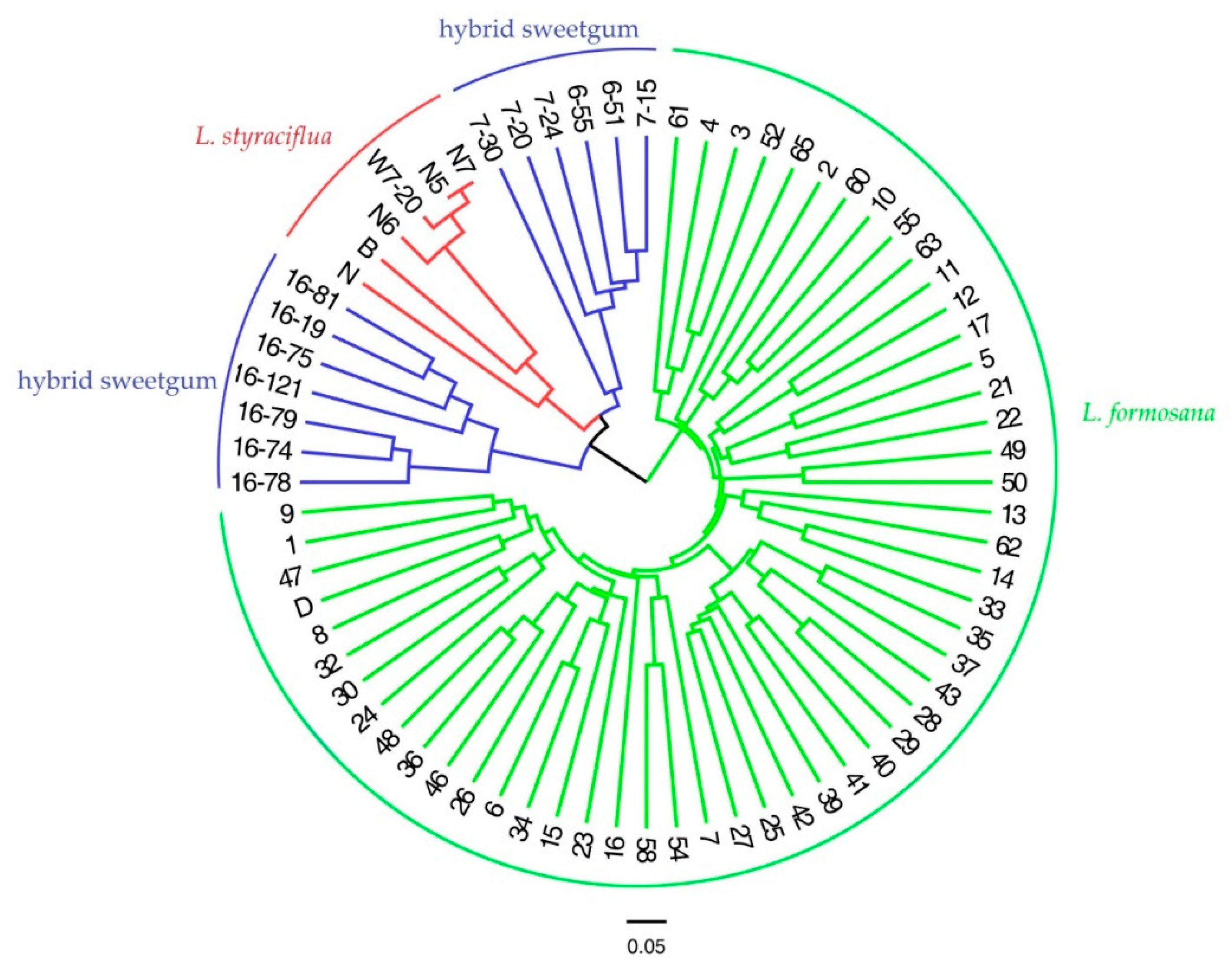 Forests 11 00203 g004