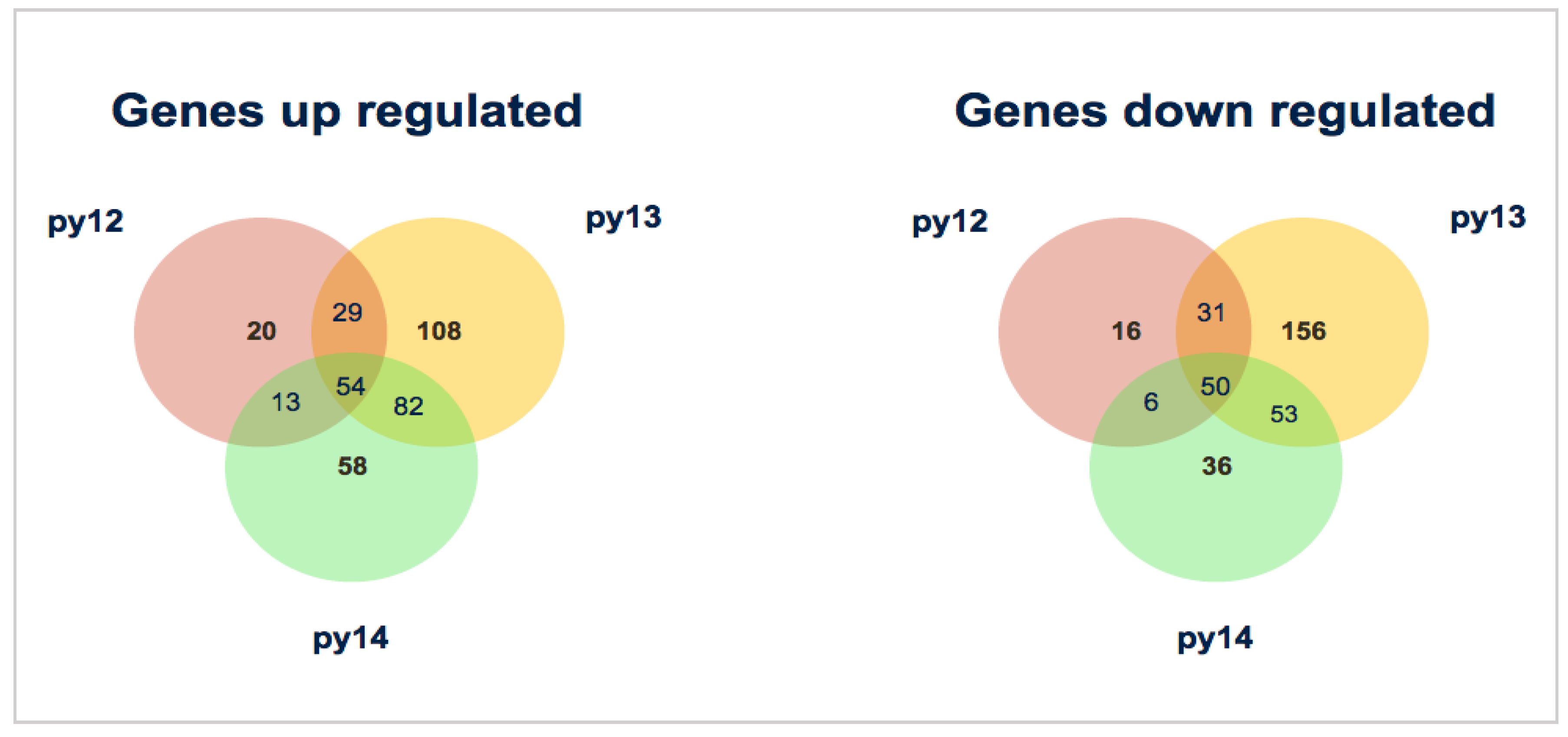 Forests 11 00204 g006 Forests 11 00204 g006