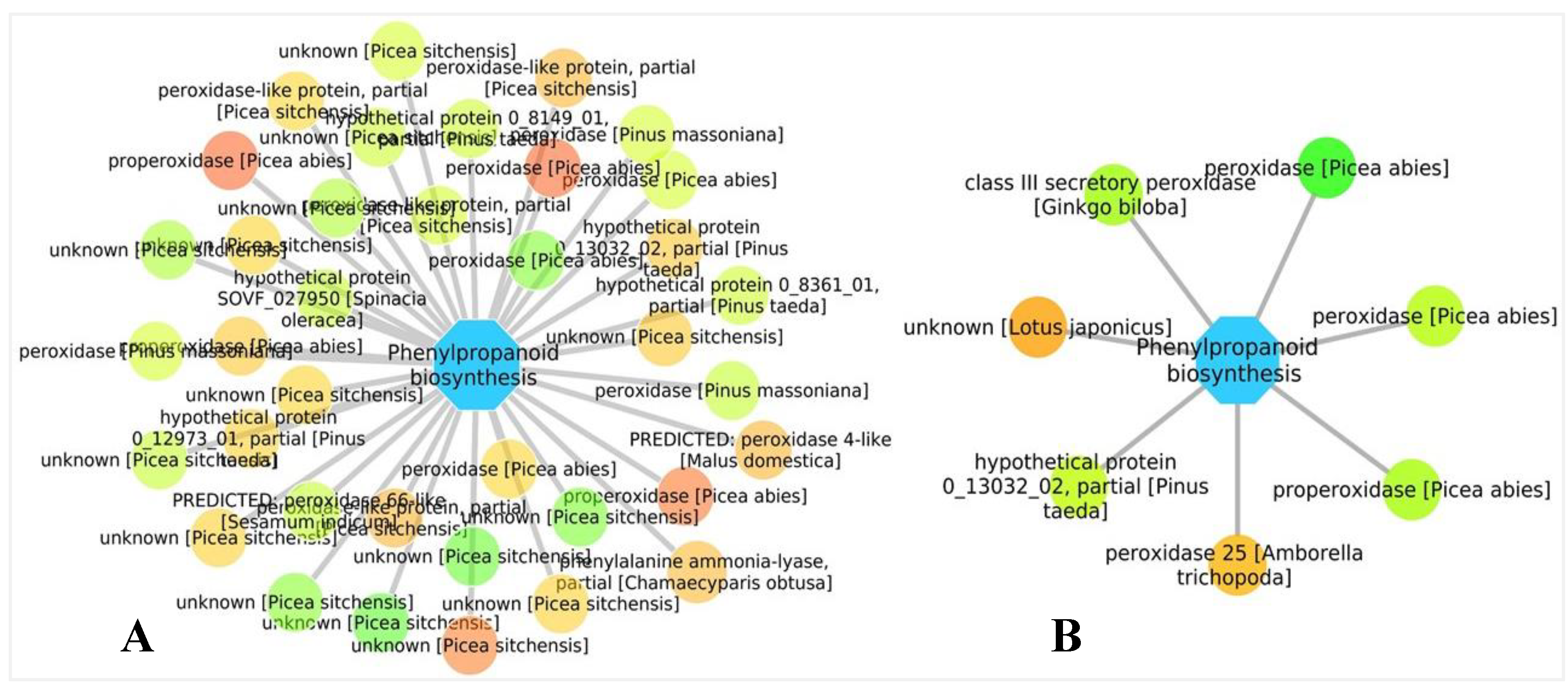 Forests 11 00204 g007 Forests 11 00204 g007