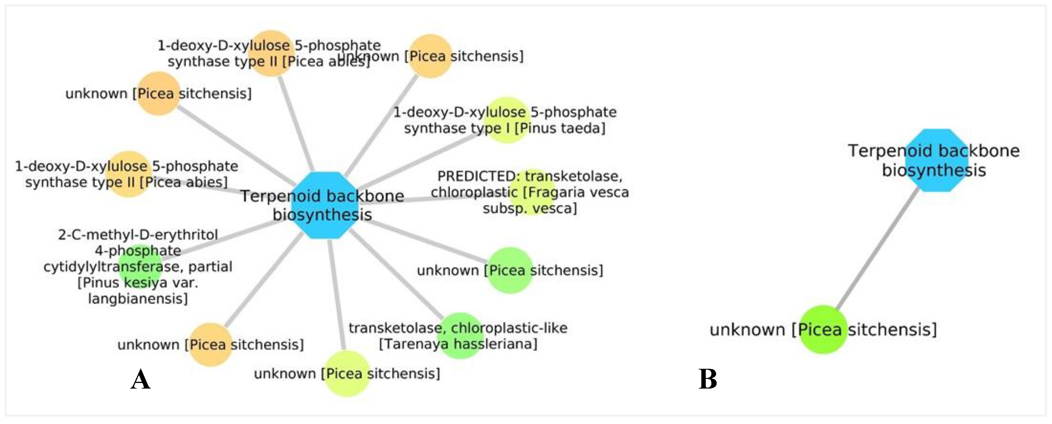 Forests 11 00204 g009 Forests 11 00204 g009
