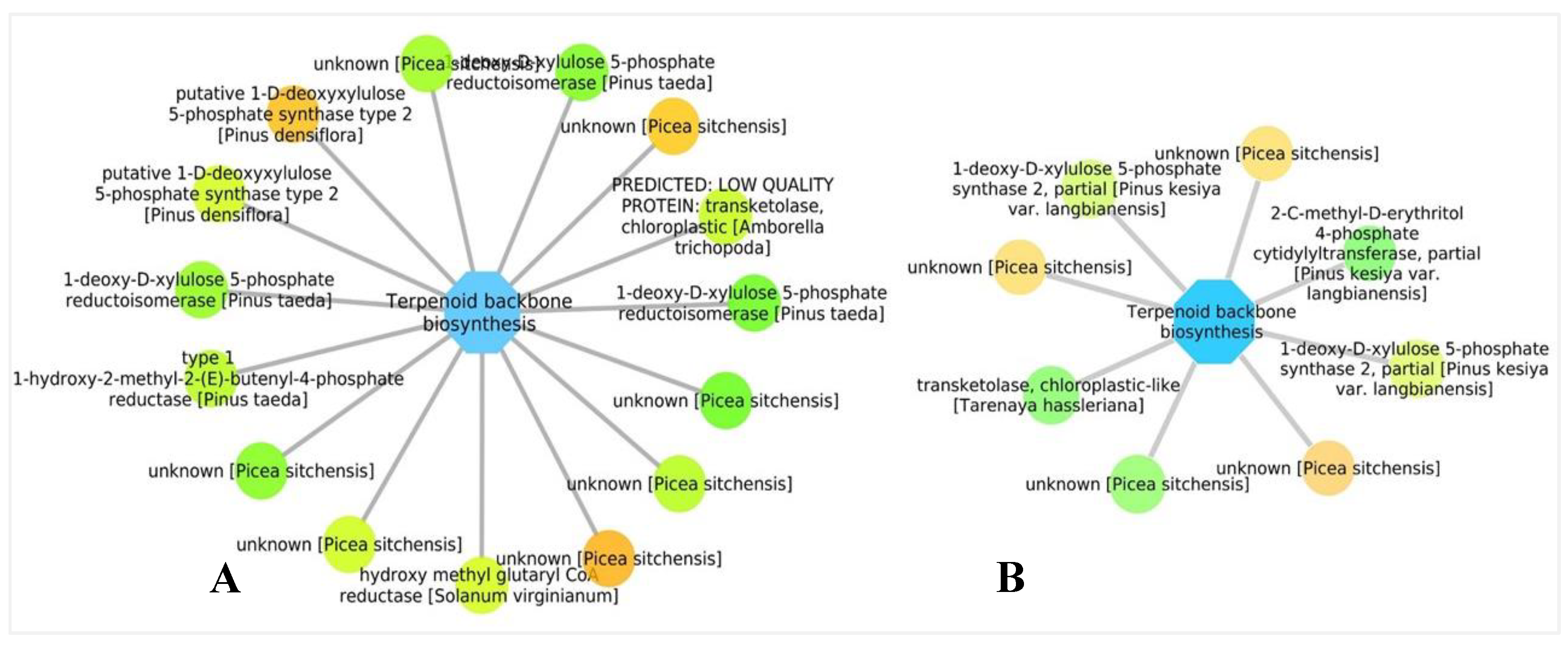 Forests 11 00204 g010 Forests 11 00204 g010