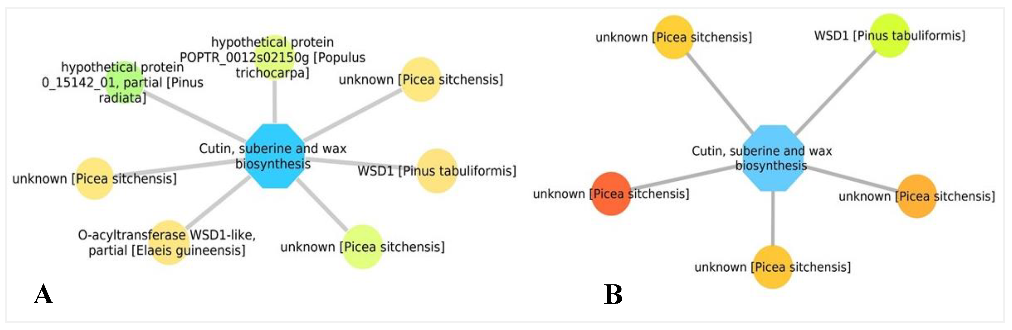 Forests 11 00204 g012 Forests 11 00204 g012