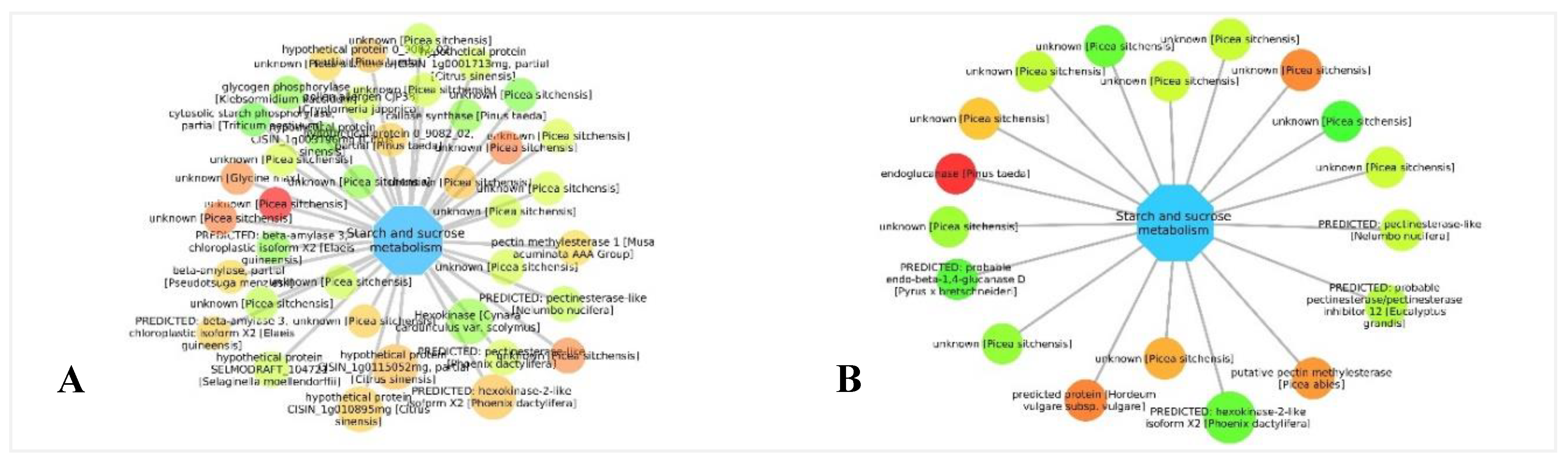 Forests 11 00204 g013 Forests 11 00204 g013