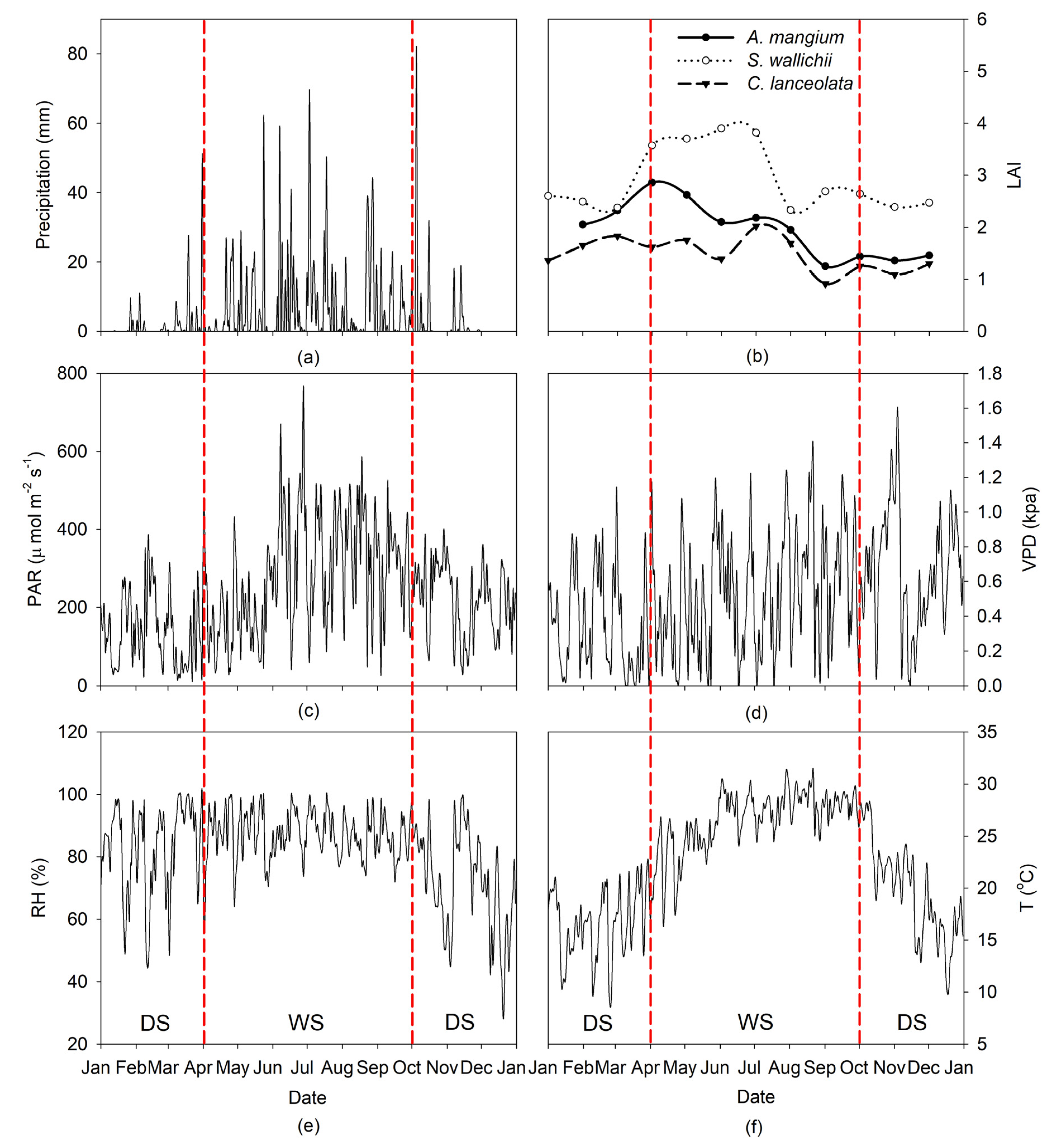 Forests 11 00206 g001 Forests 11 00206 g001