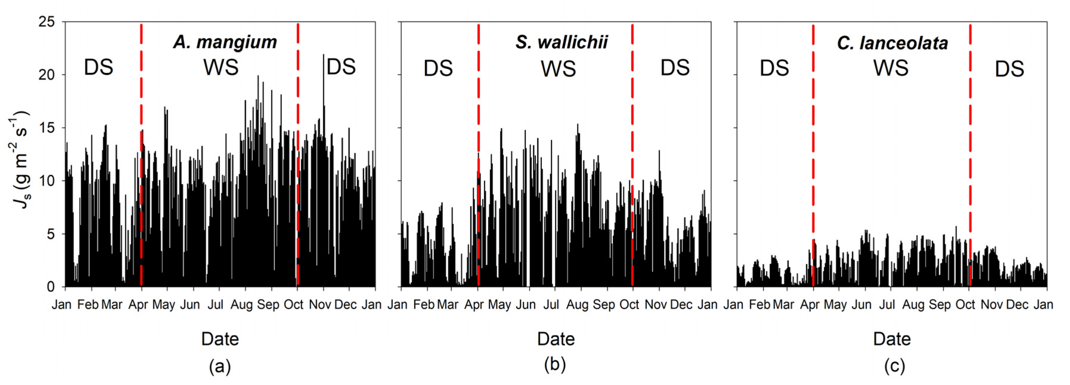 Forests 11 00206 g003 Forests 11 00206 g003