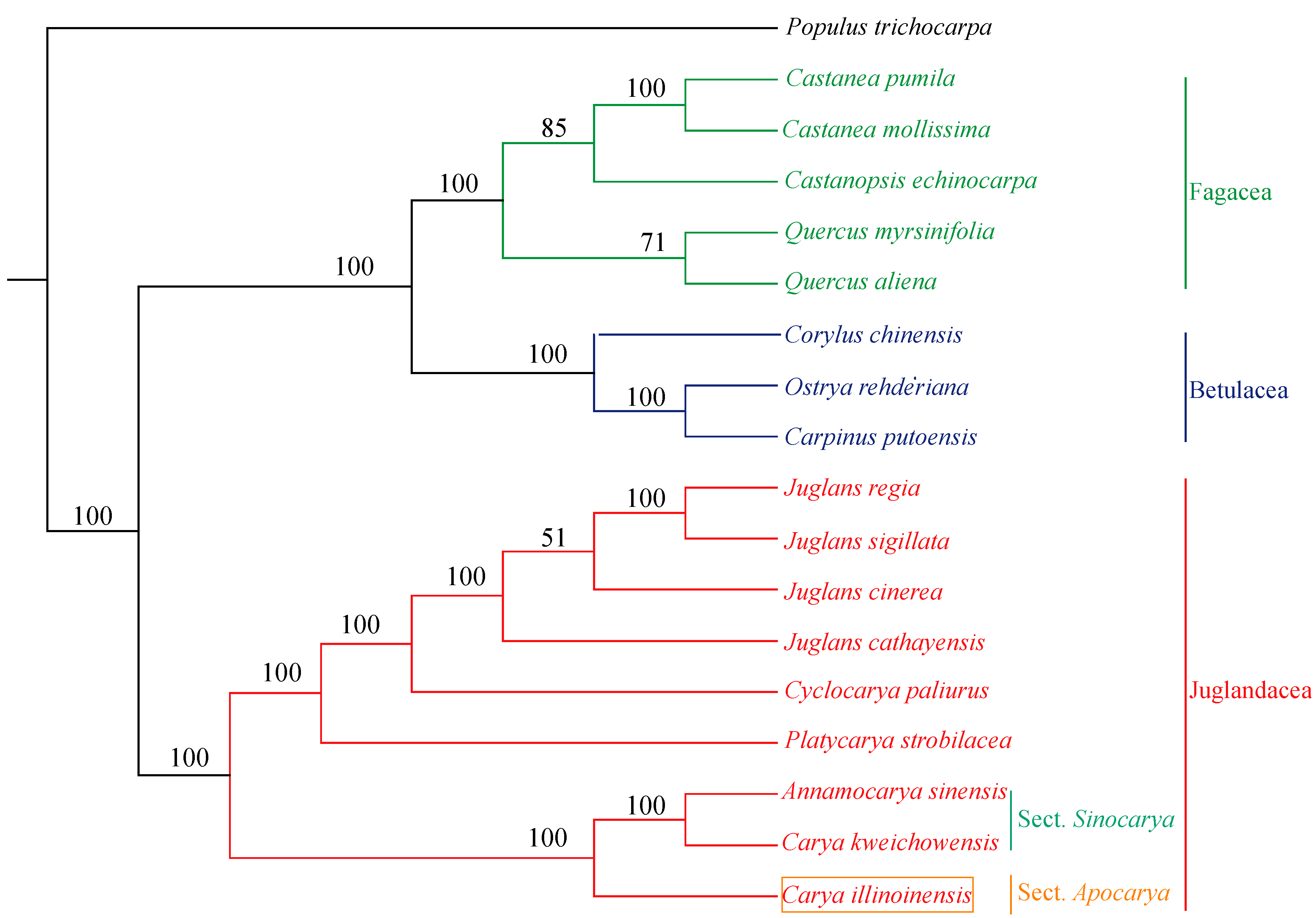 Forests 11 00207 g006 Forests 11 00207 g006