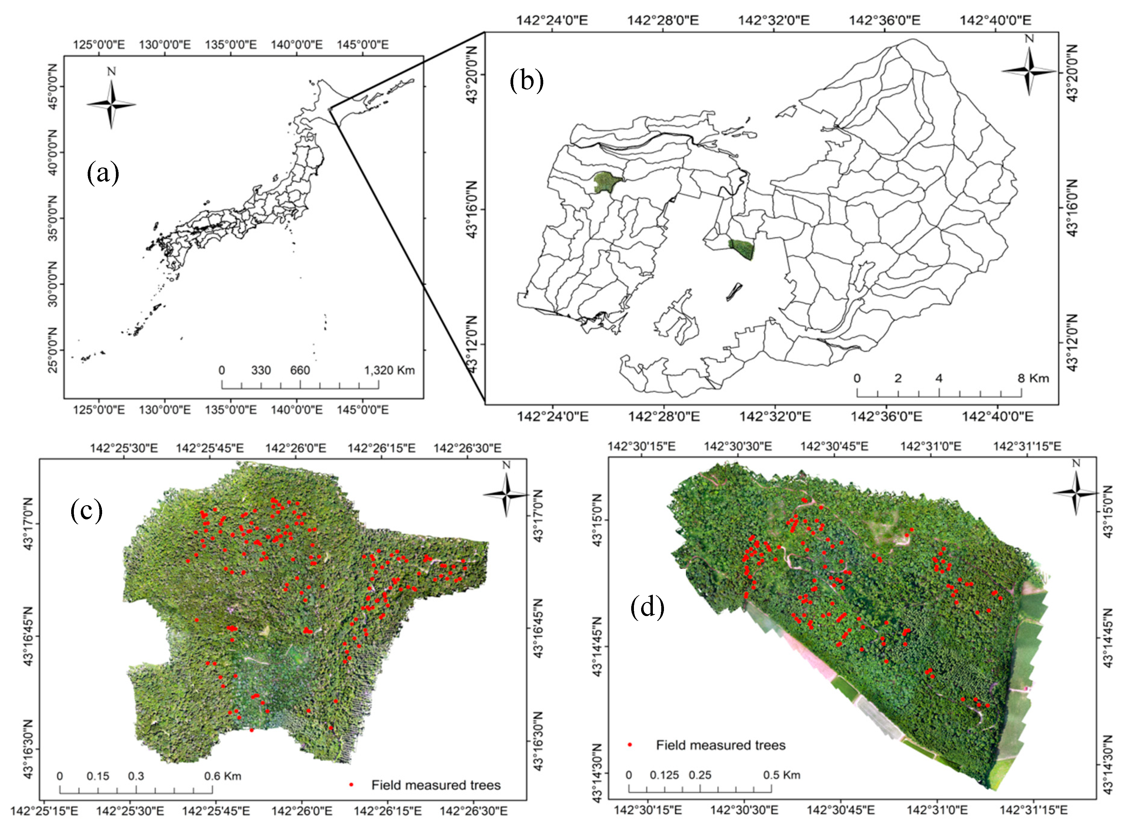 Forests 11 00223 g001