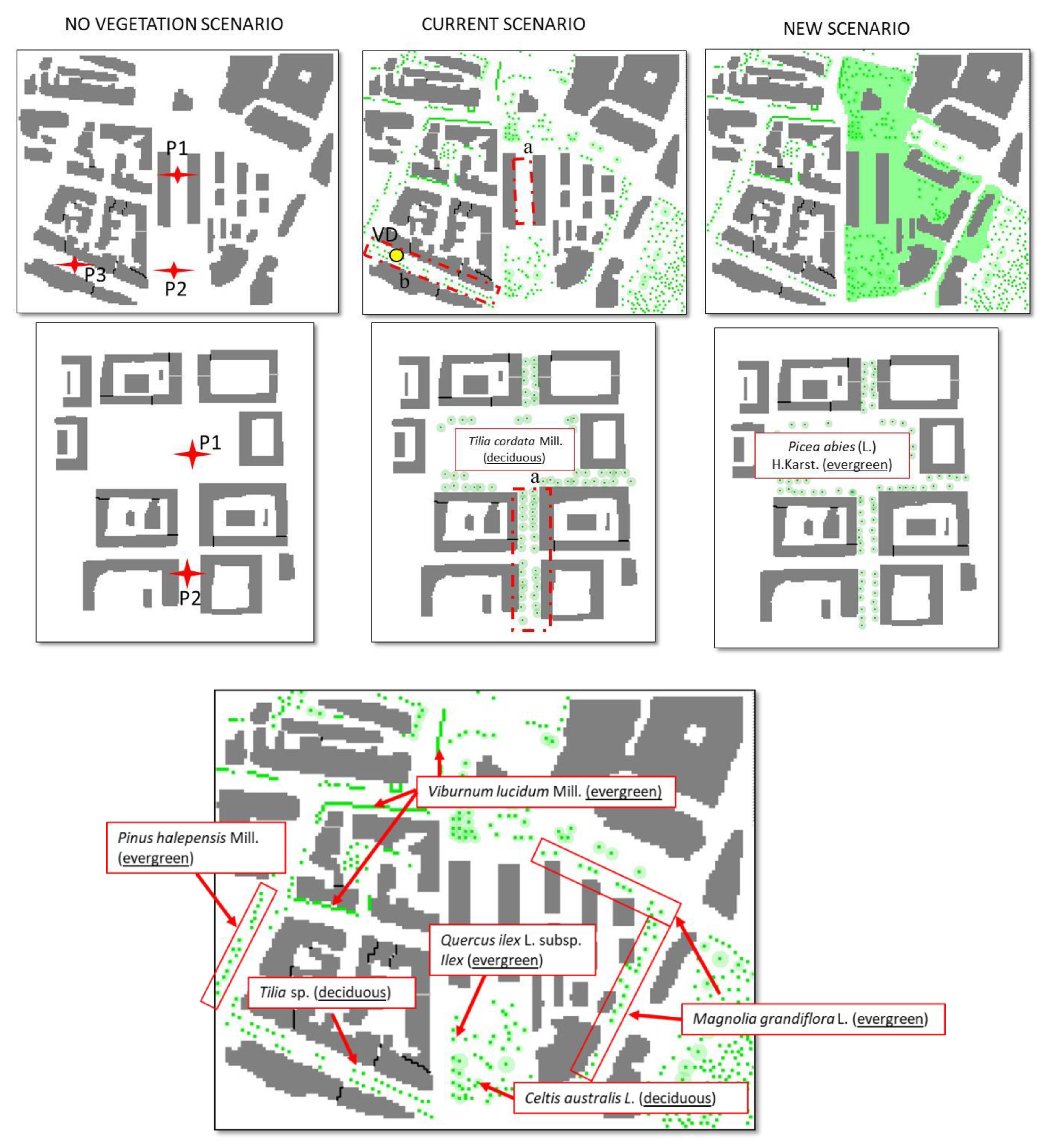 Forests 11 00228 g003 Forests 11 00228 g003