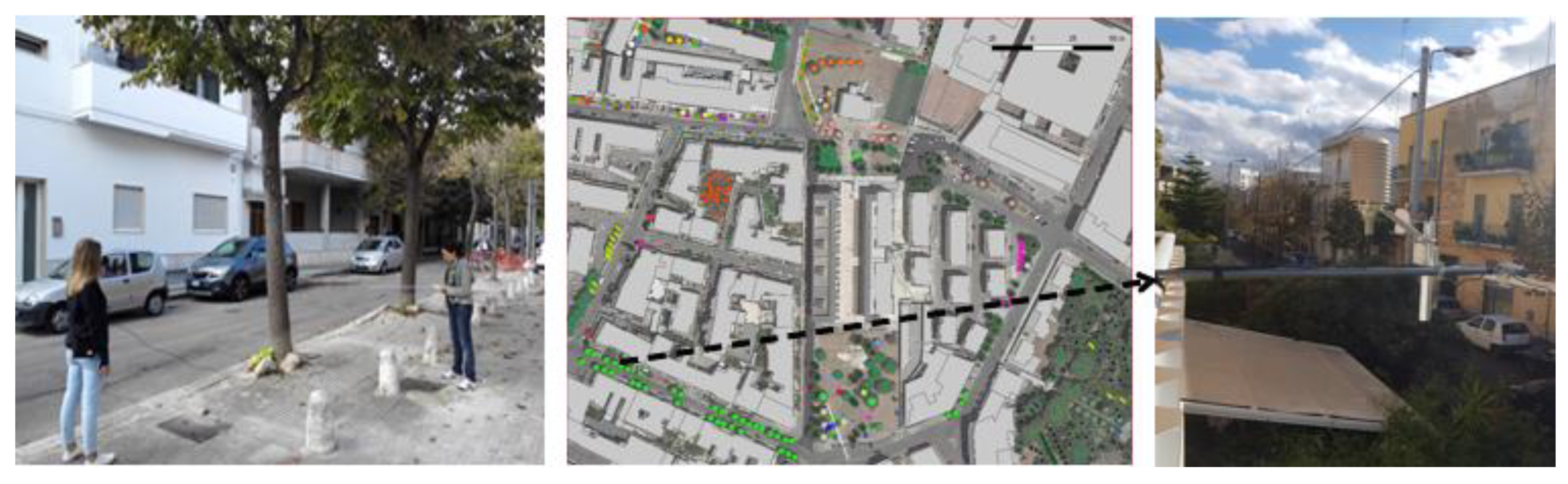 Forests 11 00228 g004 Forests 11 00228 g004