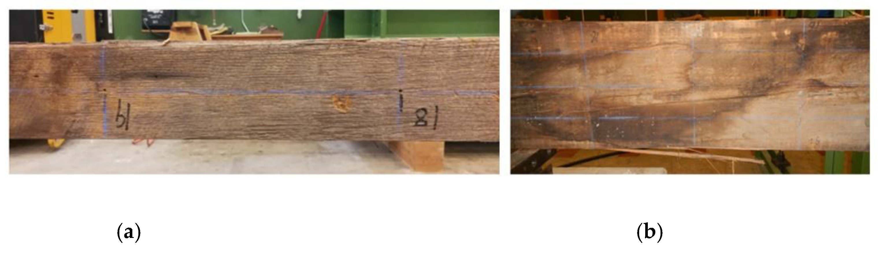 Forests 11 00230 g003 Forests 11 00230 g003