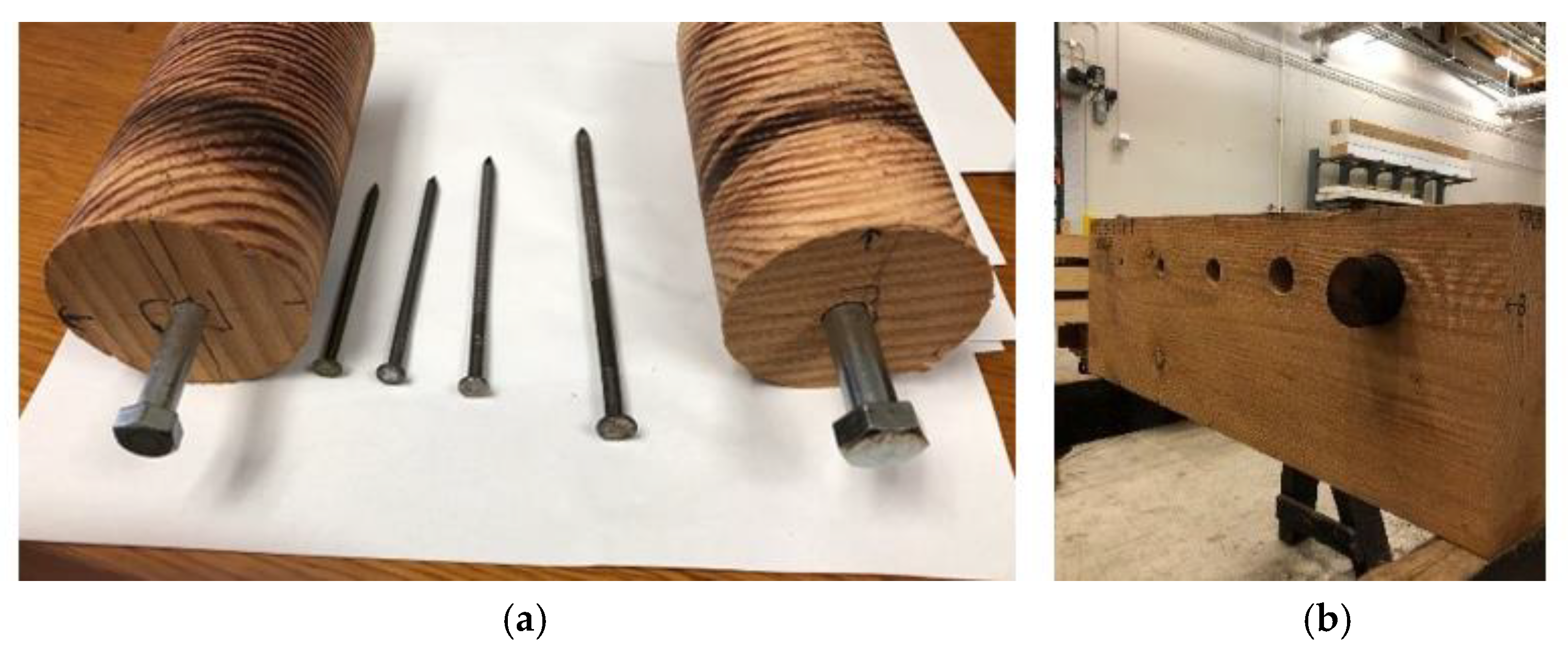Forests 11 00230 g005 Forests 11 00230 g005