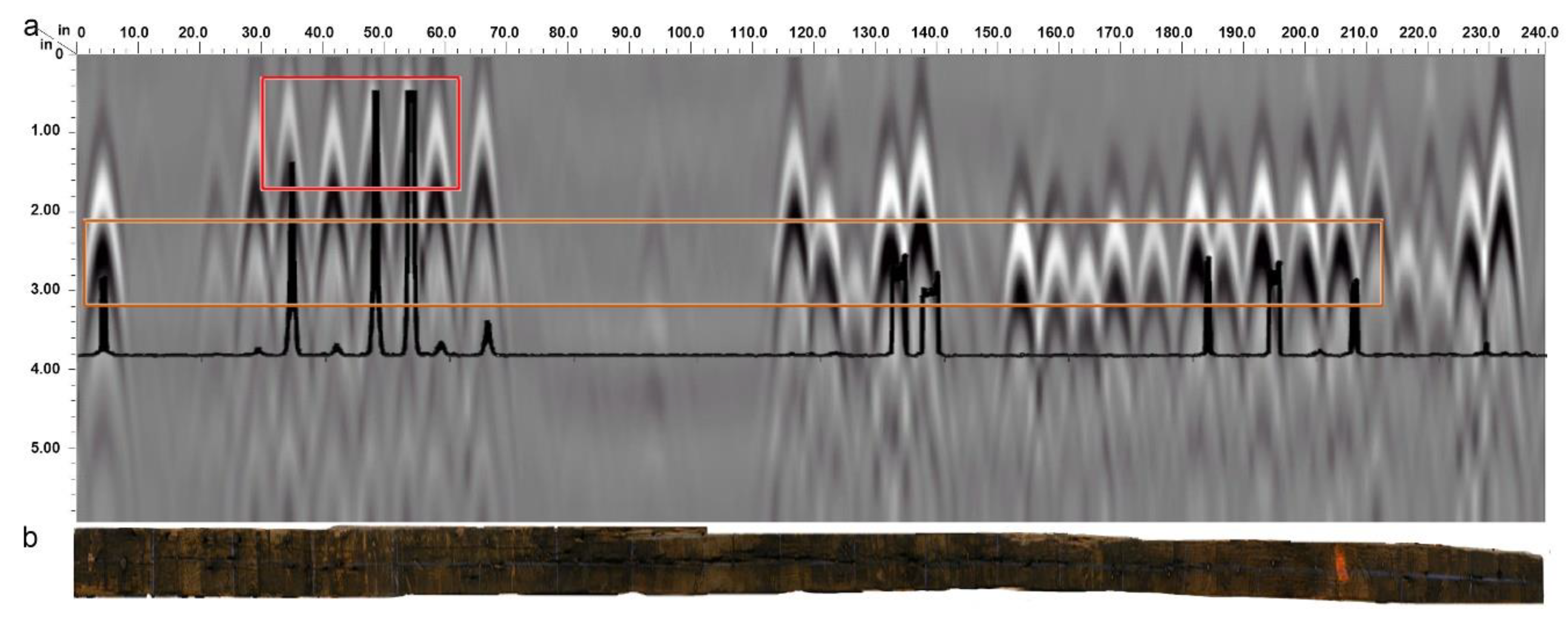 Forests 11 00230 g013 Forests 11 00230 g013