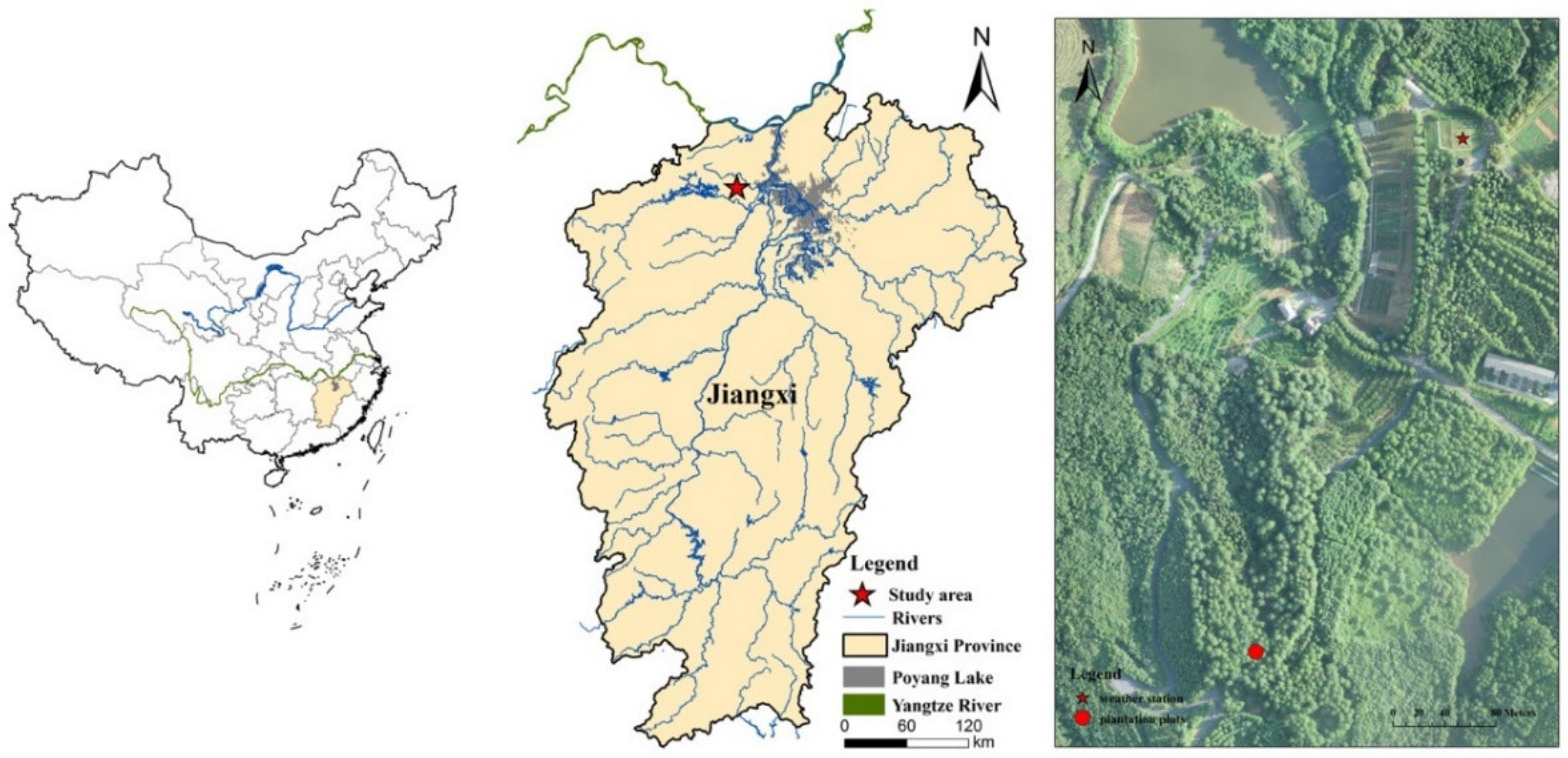 Forests 11 00235 g001