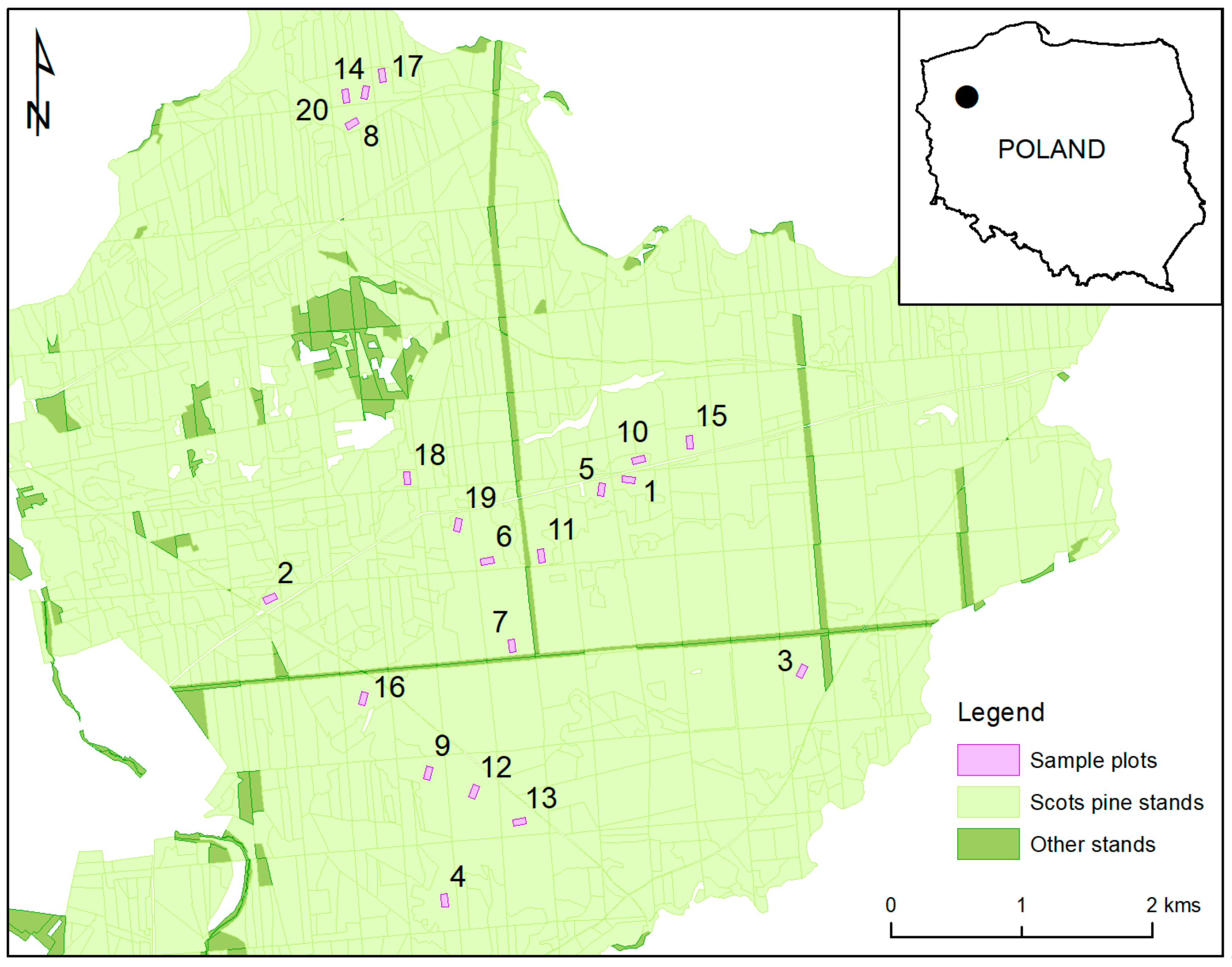 Forests 11 00240 g001