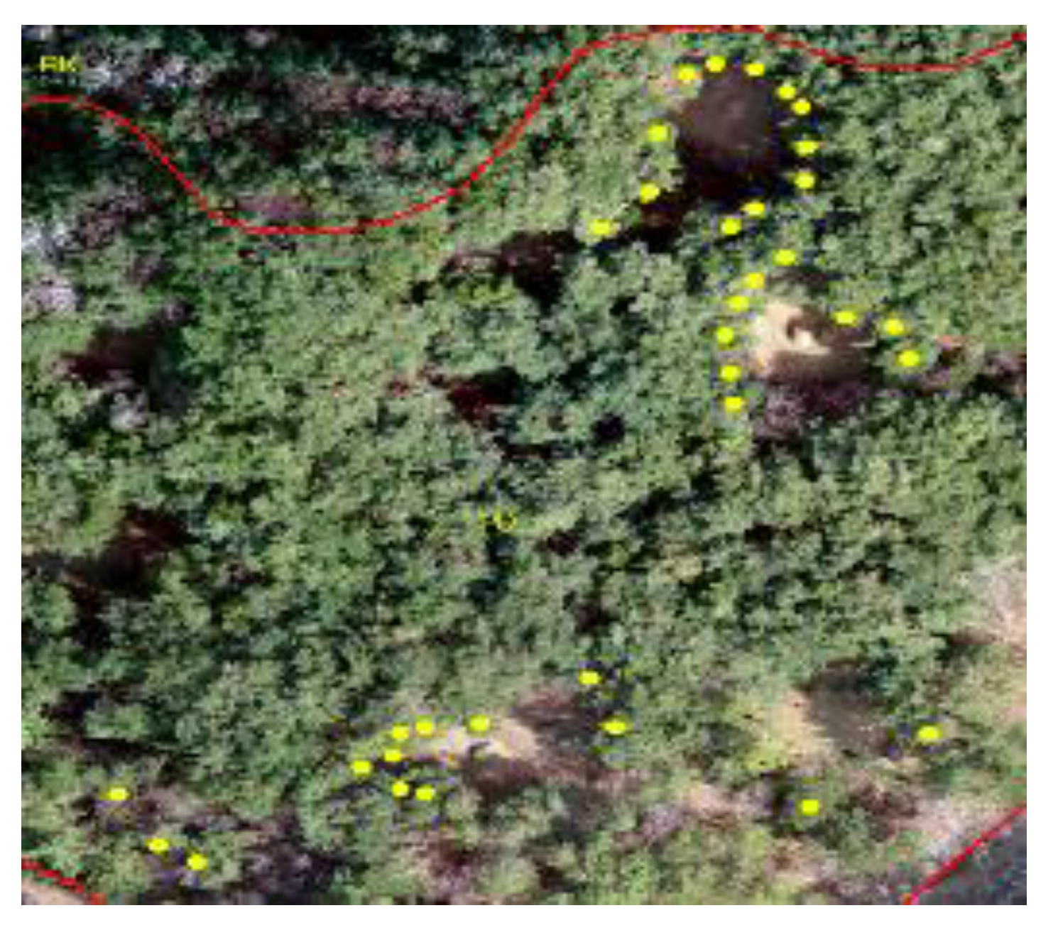 Forests 11 00241 i003 Forests 11 00241 i003