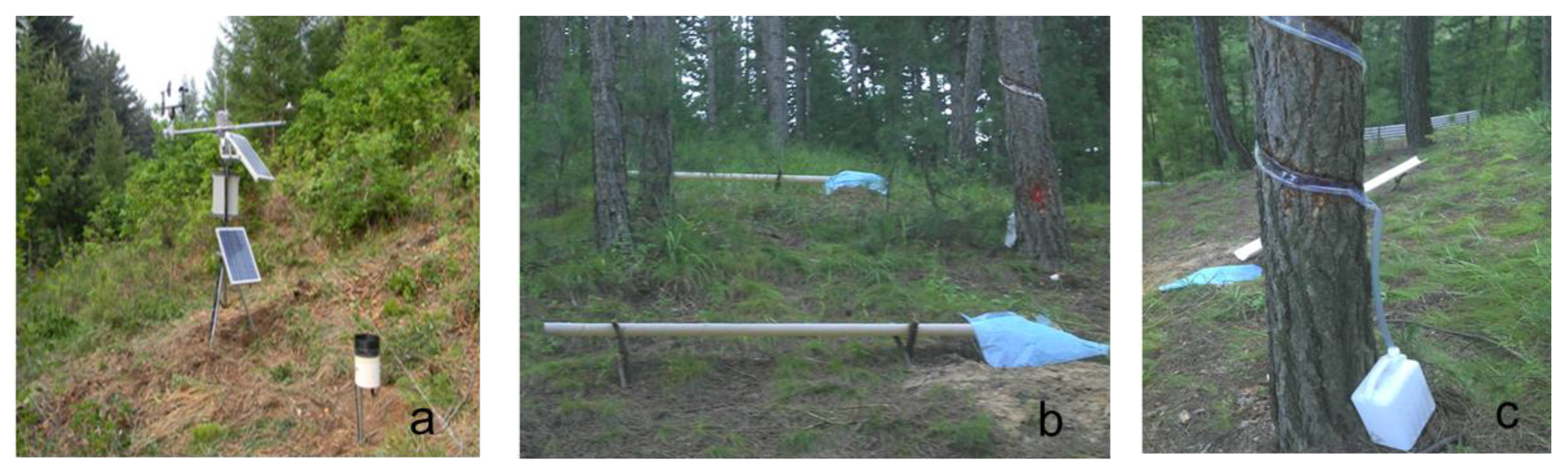 Forests 11 00243 g002 Forests 11 00243 g002