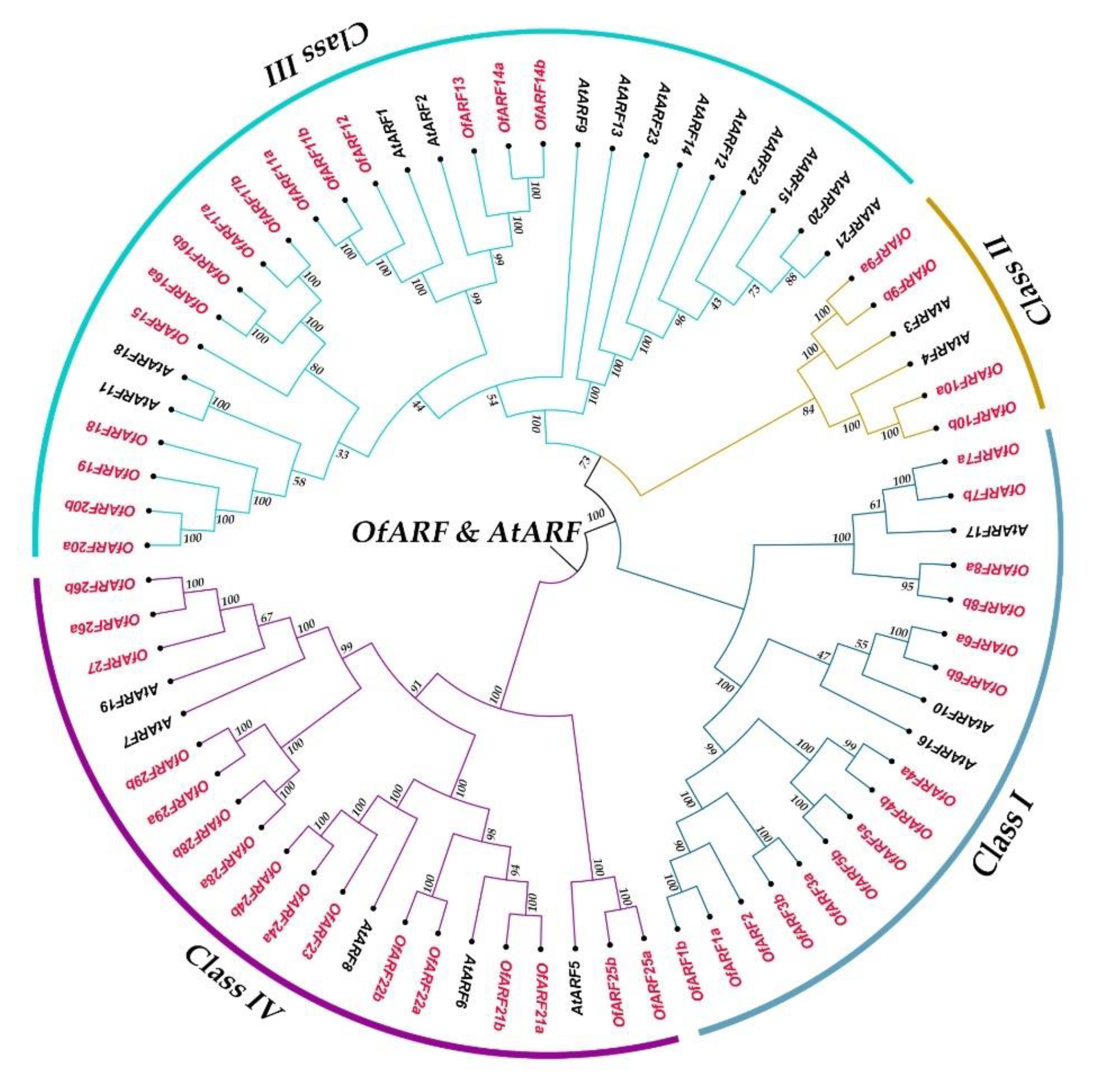 Forests 11 00245 g001 Forests 11 00245 g001