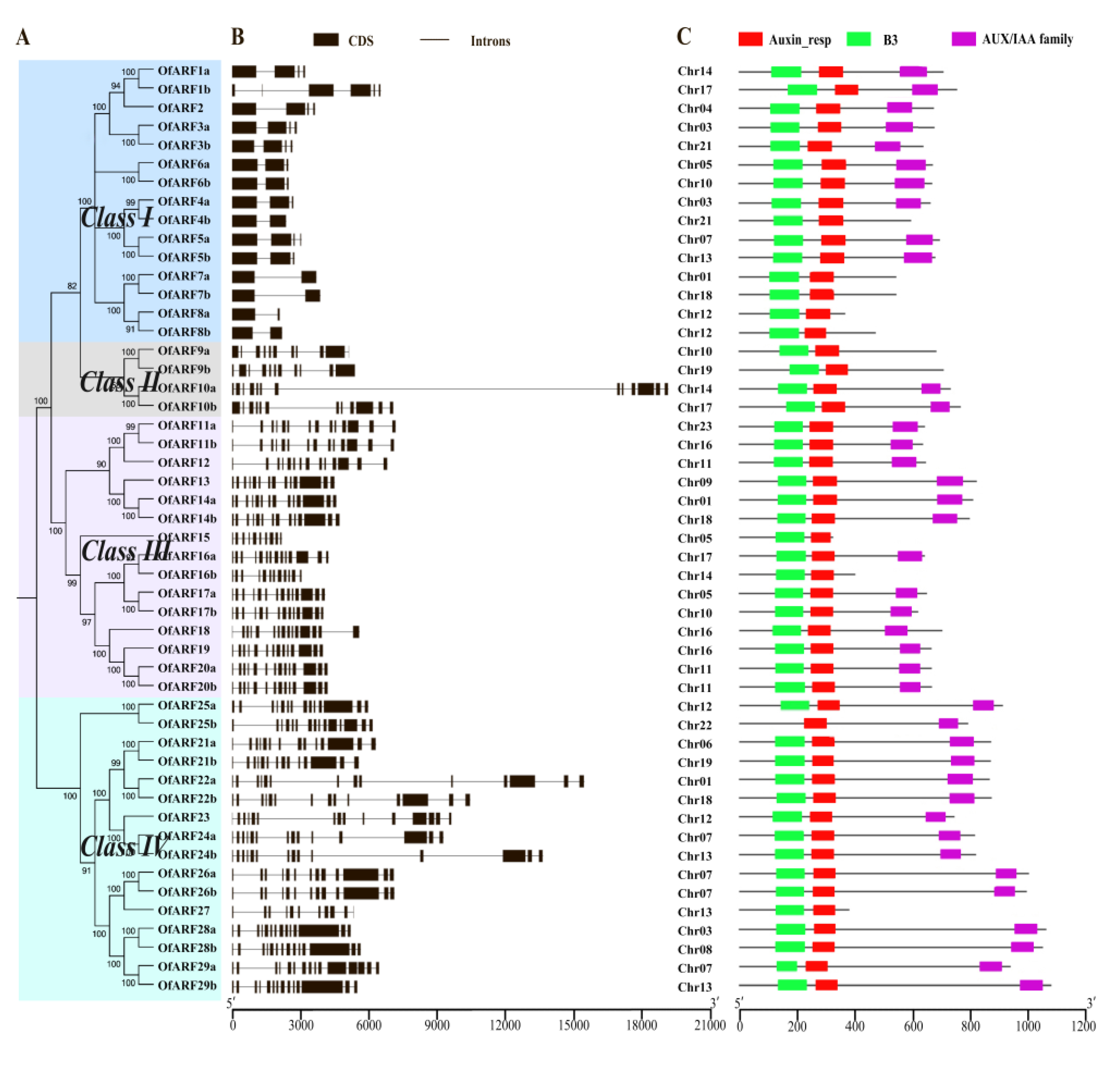 Forests 11 00245 g002 Forests 11 00245 g002