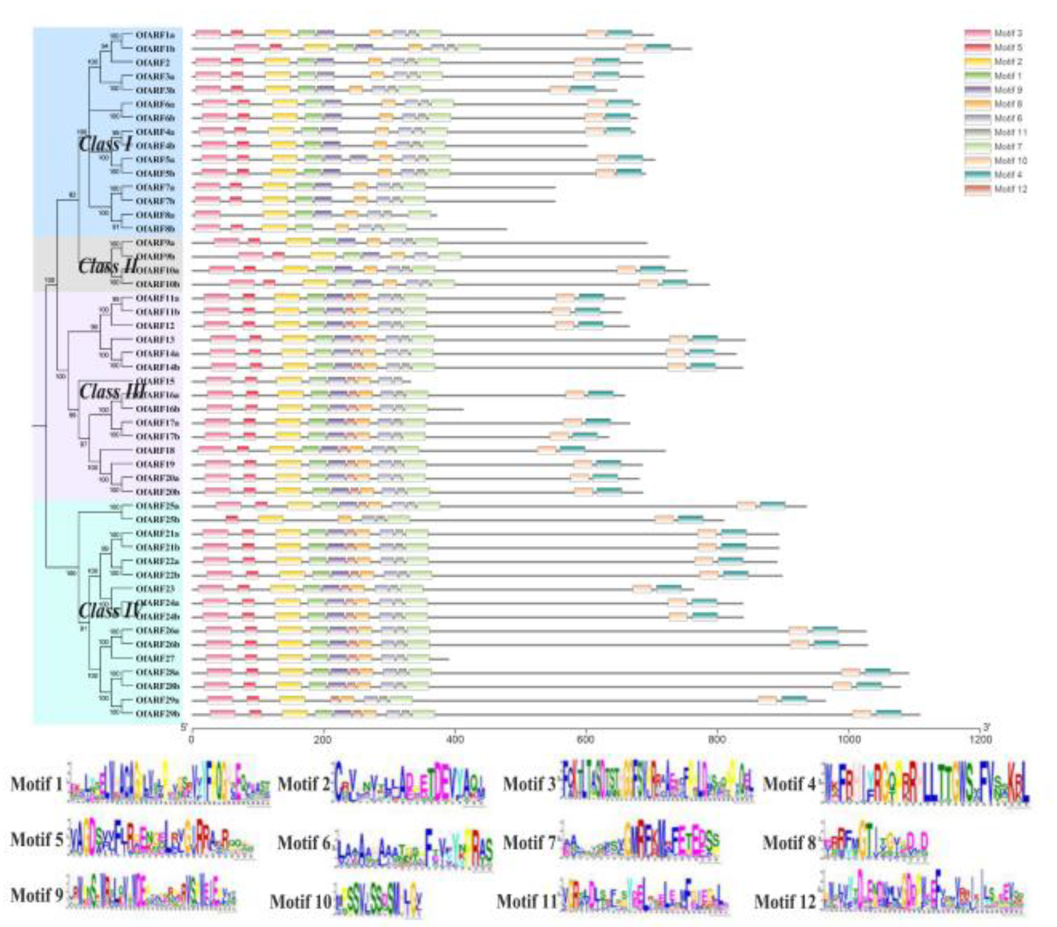 Forests 11 00245 g003 Forests 11 00245 g003